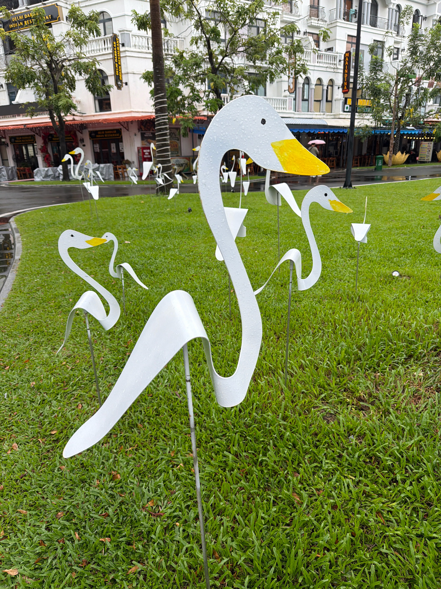 The image depicts an outdoor scene in the city of Phú Quốc, Vietnam, likely a public space or park with a grassy area. The foreground is dominated by several white, stylized swan sculptures, each with a yellow beak. These sculptures are made of a reflective material, showing small water droplets, suggesting recent rain. The grass is a vibrant green, with some scattered brown leaves. In the background, a multi-story building with white facades and arched windows is visible, resembling a commercial establishment, possibly restaurants, indicated by awnings and signage. Trees with lush green foliage are interspersed with the building and the sculptures. The overall atmosphere suggests a decorative installation in a city environment, potentially after a rainfall.