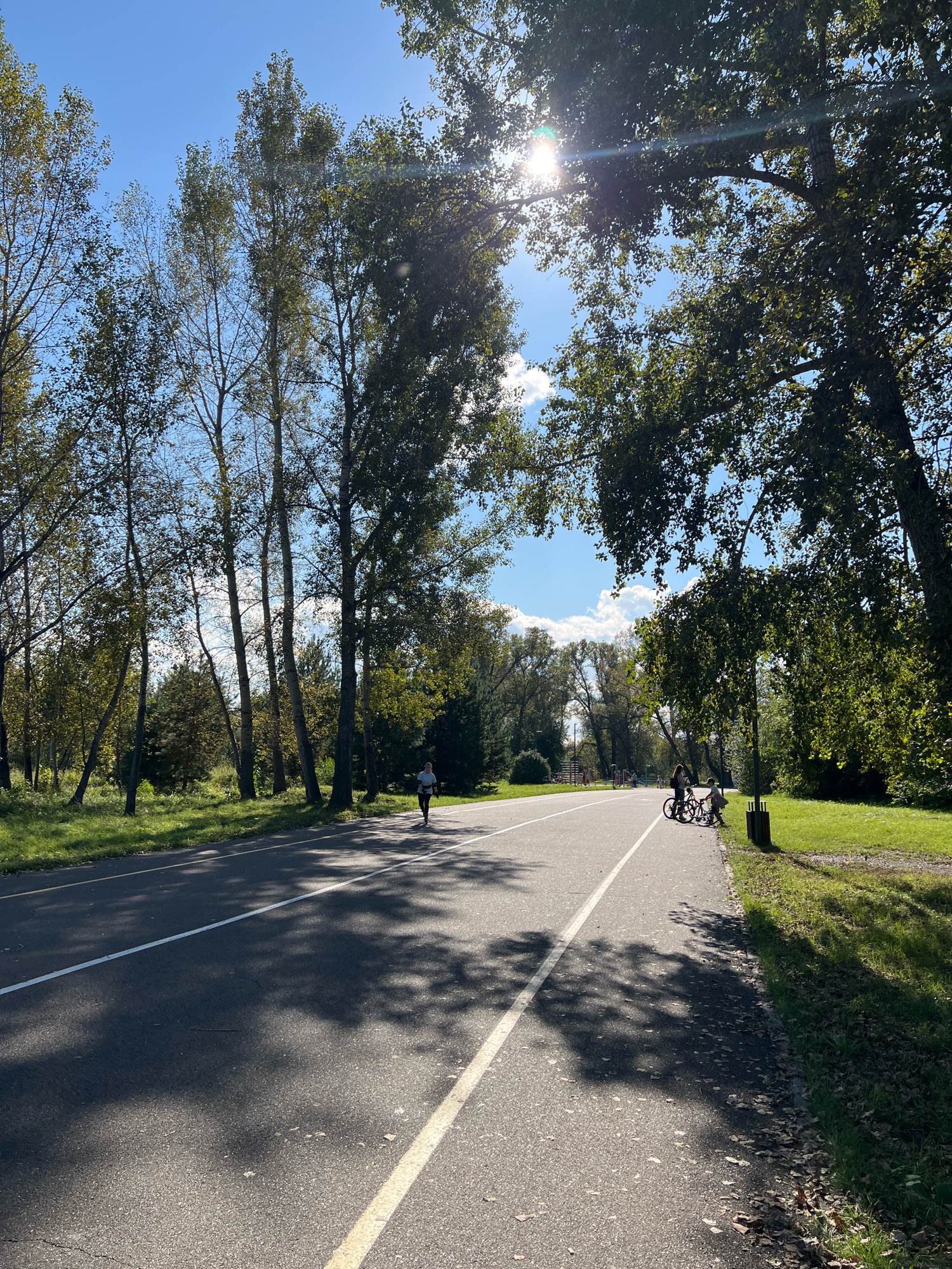 This image depicts an asphalt path in a park, likely in Krasnoyarsk, Russia, given the provided context. The path is marked with white and yellow lines and is bordered by grass and trees. Sunlight filters through the leaves of the trees, casting dappled shadows on the path. In the distance, several people are visible. On the left side of the path, a lone individual is jogging. Further down the path, on the right side, two individuals are standing next to bicycles. The sky is blue with some scattered white clouds, and the sun is shining brightly. The overall scene suggests a pleasant day in a park setting, with people engaging in outdoor recreational activities.