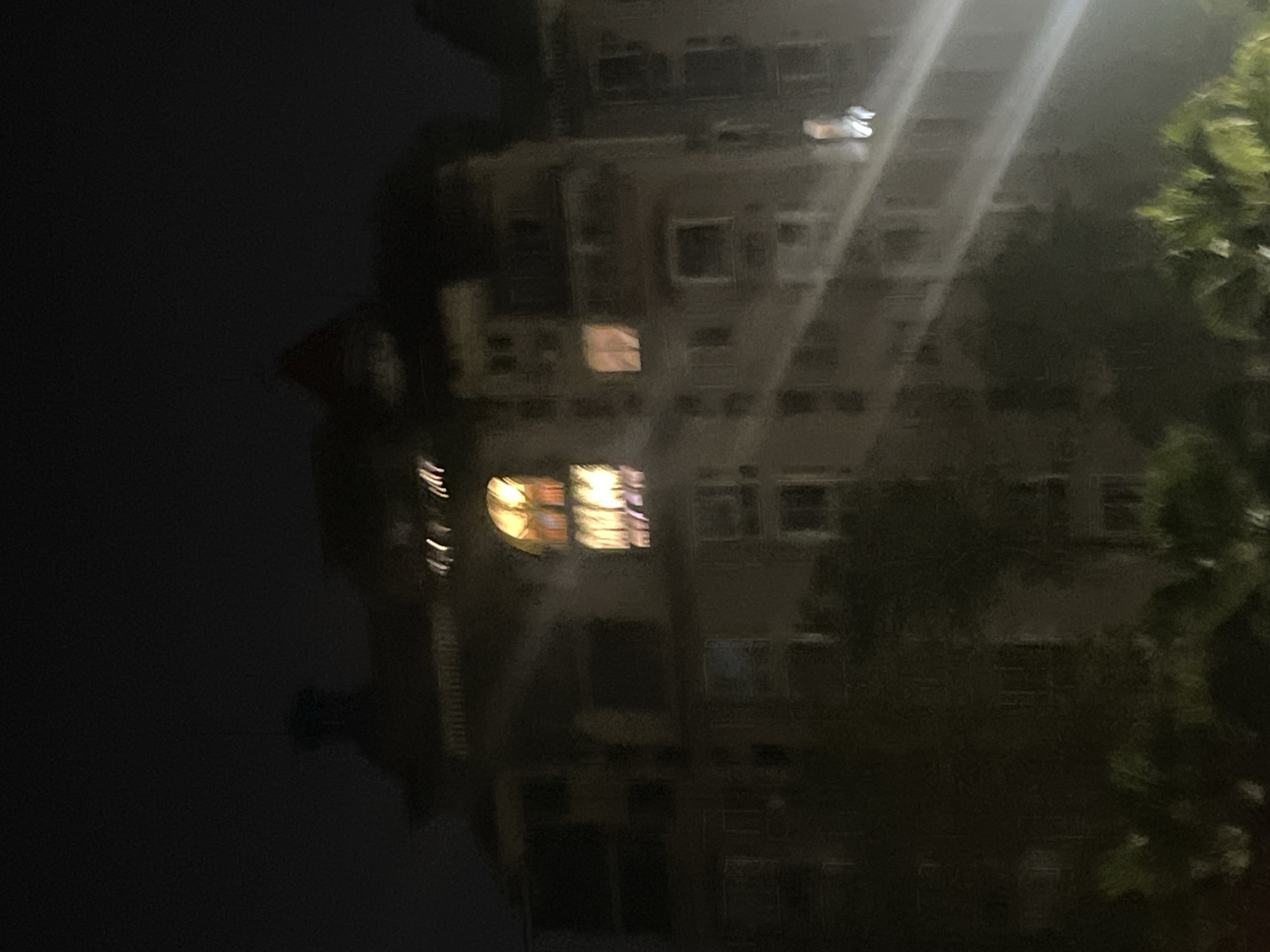 An underexposed nighttime photograph depicts a multi-story building, likely residential, situated in Jiulongpo District, China. The structure exhibits dark, indistinct architectural elements suggestive of classical European styling, including a faint spire or cupola on the left section of the roofline and a reddish, pointed gable on the upper right. Numerous windows are present across the facade; an arched window directly above a rectangular window in the upper-middle portion of the building is brightly illuminated with warm yellow-orange light, while other windows show fainter, diffused light. The lower foreground is occupied by dark, blurred foliage, including what appear to be palm trees, some of which are dimly illuminated. A strong, unidentified light source in the bottom right of the frame creates a distinct, bright streak of white-orange light extending diagonally upwards and to the left across the lower-middle section of the image, partially obscuring the building and vegetation. No individuals or specific actions are discernible. The image is characterized by low light and slight blurriness.