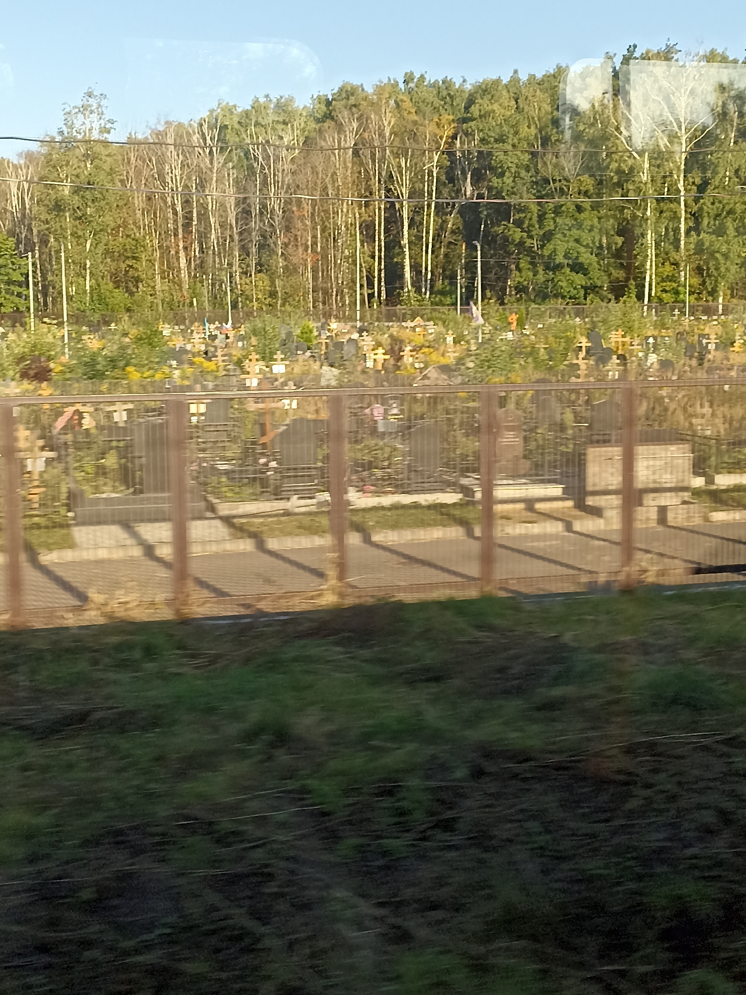 The image depicts a cemetery with numerous gravestones and crosses visible through a metal fence. Beyond the cemetery, a dense forest of trees stands under a clear blue sky. The foreground shows a blurred grassy area, suggesting motion, possibly from a vehicle. The scene appears to be a typical cemetery located in the outskirts of a city, surrounded by natural greenery. While the specific location within Moscow is not identifiable from the image alone, cemeteries in Moscow, such as Kuntsevo Cemetery or Vagankovo Cemetery, often feature similar landscapes with a mix of urban boundaries and forested areas.