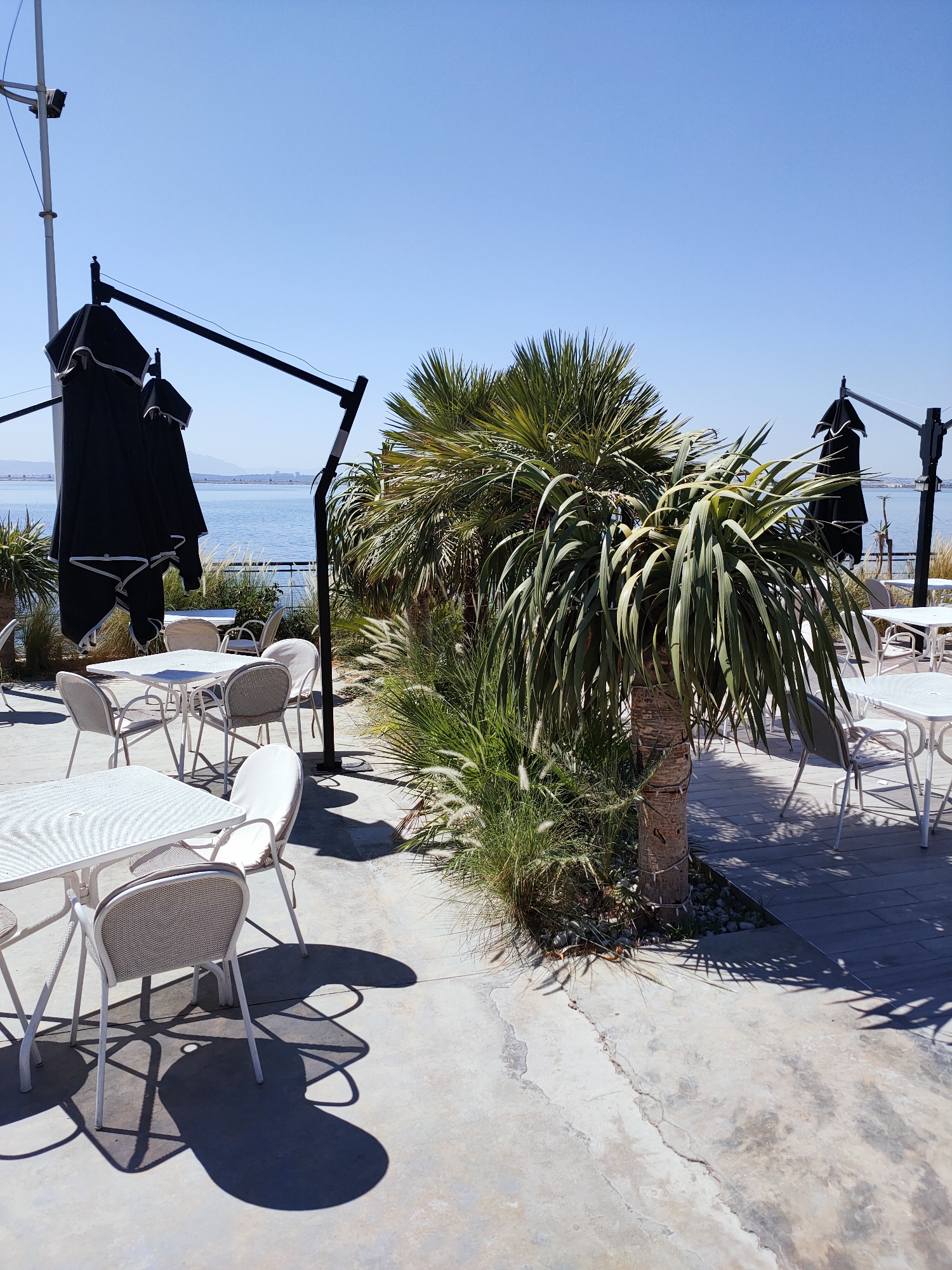 This image depicts an outdoor seating area of a cafe or restaurant, likely located by the sea in Tunis, Tunisia. The foreground features several white metal tables and chairs, some with woven seats and backs. The tables have a textured, perforated surface, and some chairs have white cushions. Shadows from the tables, chairs, and surrounding foliage are cast on the concrete patio.
In the mid-ground, lush green palm trees and tall grasses are planted. Two large black umbrellas are folded and secured to black poles, suggesting preparation for or cessation of use. Beyond the seating area, a body of water, likely the sea, is visible, with a hazy coastline and distant mountains or buildings on the horizon under a clear blue sky. The flooring transitions from concrete in the foreground to what appears to be wooden decking in the mid-ground. The overall scene is serene and bathed in sunlight, indicating a pleasant day.