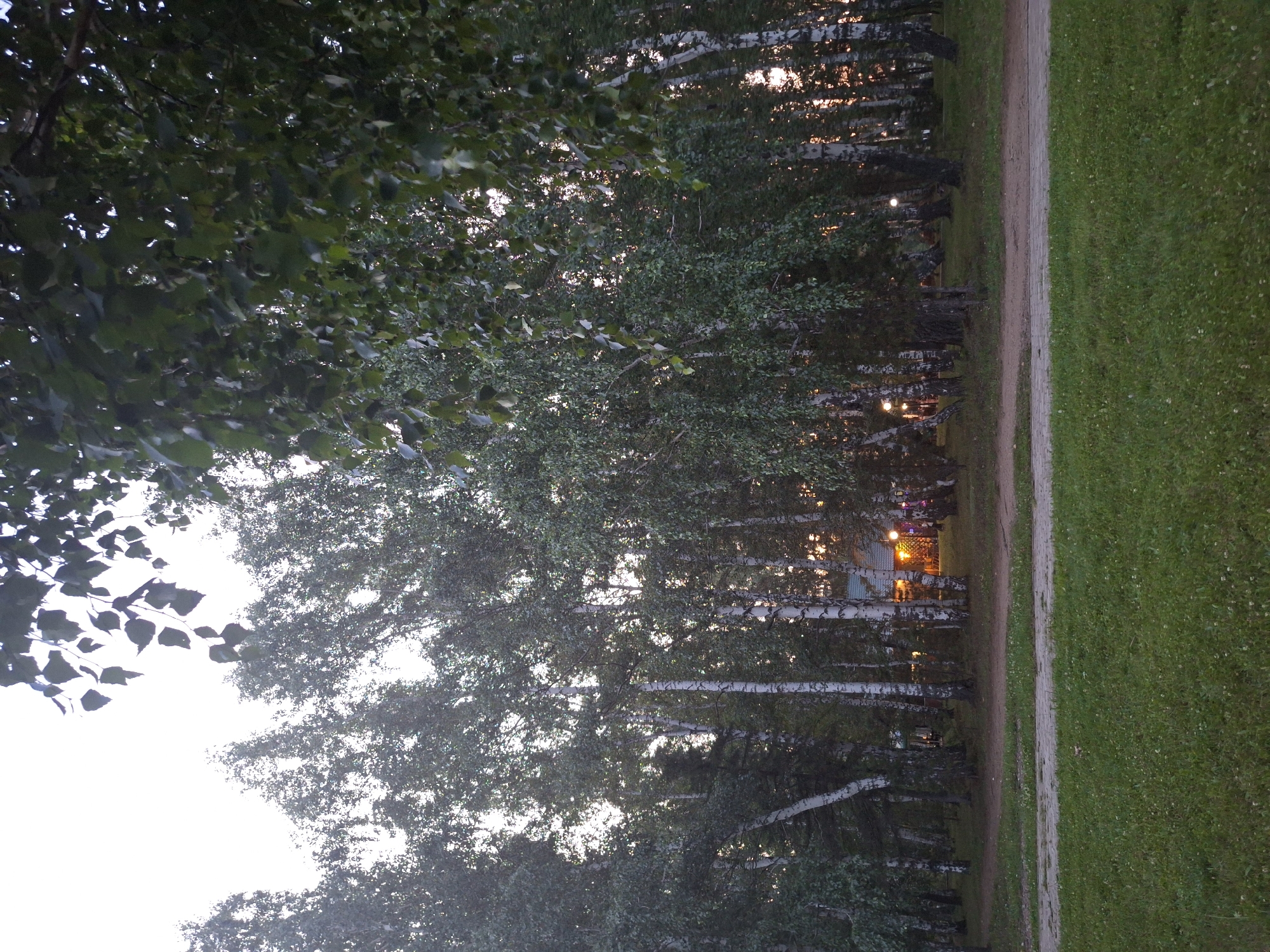 The image depicts a park-like setting in Atamanovka, Russia, likely during twilight or early evening. The foreground is dominated by a well-maintained lawn with scattered small white flowers. A paved pathway, constructed of interlocked concrete blocks, runs horizontally across the mid-ground, separating the lawn from a dirt path beyond.
Behind the paths, a dense stand of birch trees forms a natural barrier. Their distinctive white and black bark is visible, and their leaves are a vibrant green, suggesting a temperate season. Sunlight or artificial lighting filters through the trees, creating a dappled effect and illuminating parts of the forest floor.
In the distance, nestled amongst the trees, a small building or gazebo is visible. It is illuminated by warm, yellow lights, and decorative colored lights are also present, suggesting a gathering or event is taking place. The overall atmosphere is serene and natural, with hints of human activity in the background. The sky is overcast and appears light, indicating the end of daylight.