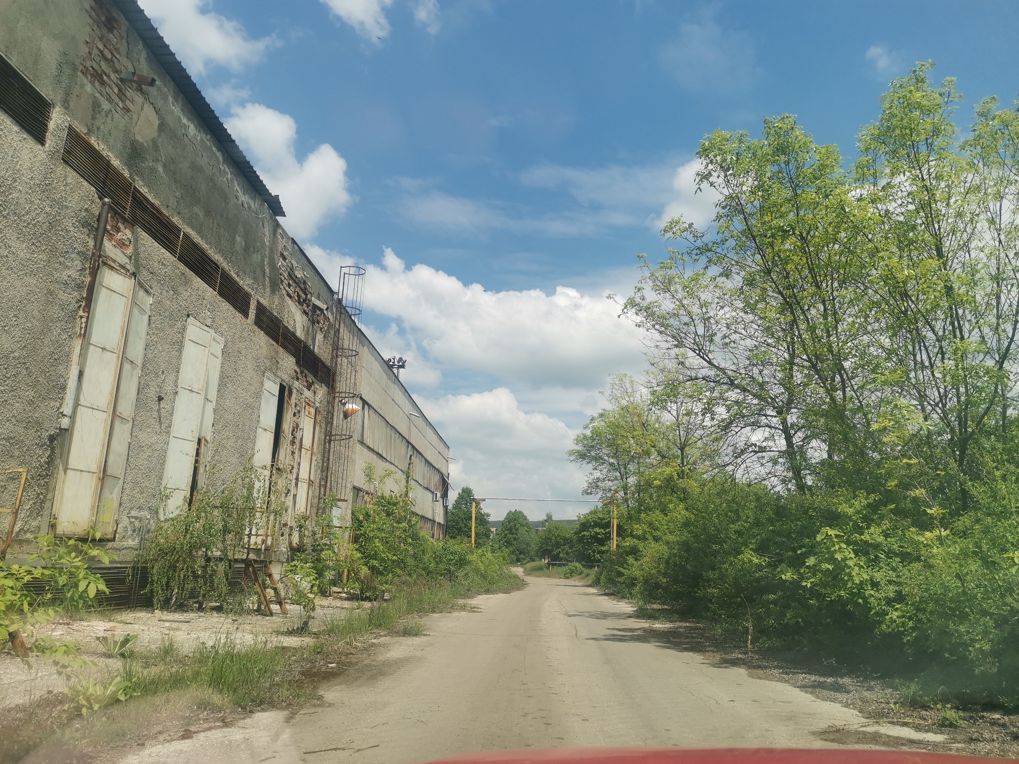 The image shows a weathered, abandoned industrial building in Zhivkovo, Bulgaria. The building is constructed of gray concrete, has multiple shuttered windows, and is in a state of disrepair with overgrown vegetation around its base. A rusty ladder is attached to the side of the building. A paved road runs alongside the building, lined with trees and shrubbery. The sky is blue with scattered white clouds. There are no visible people or animals. In the distance, further down the road, there is a gantry.