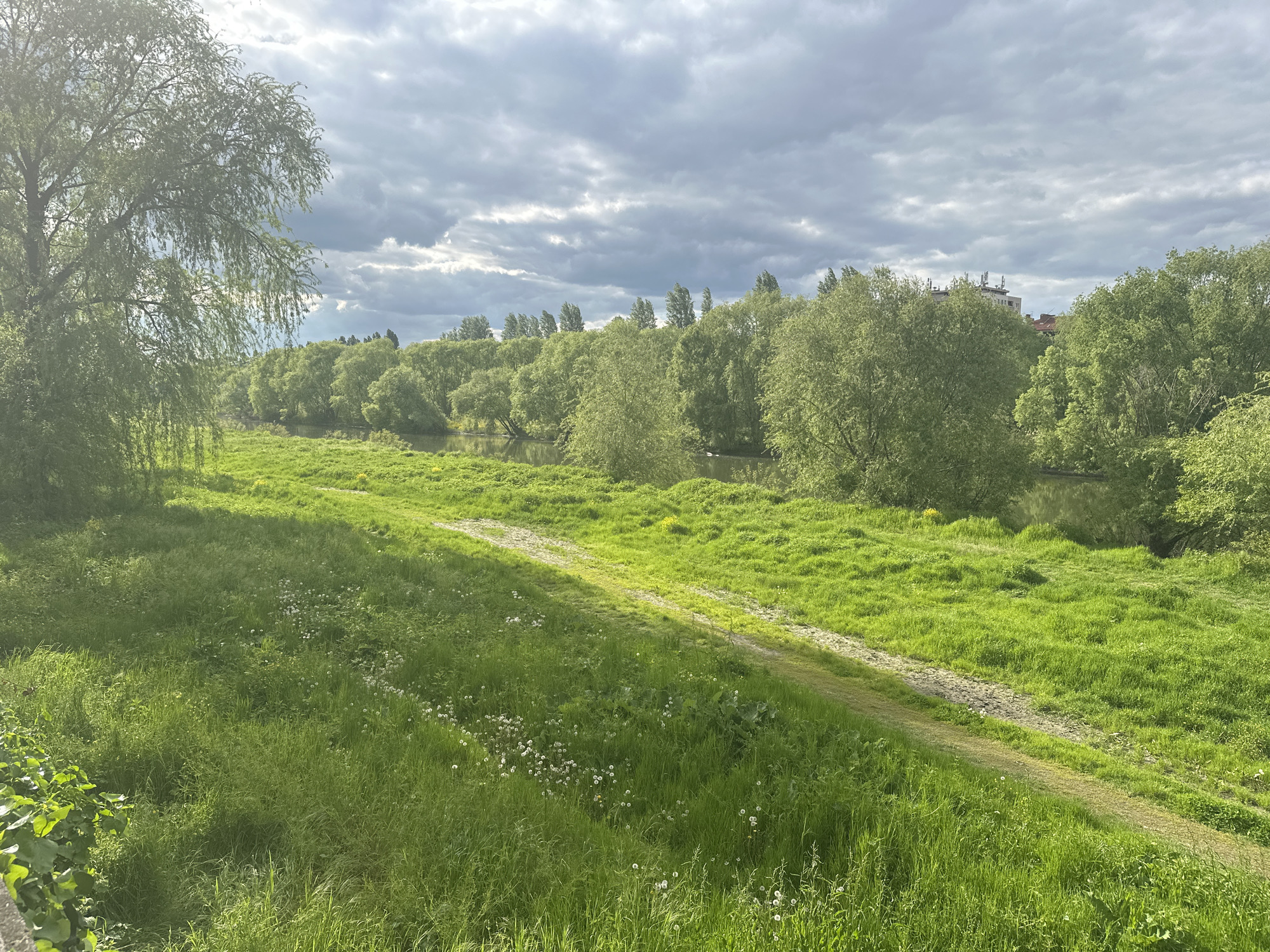 The image depicts a grassy field and a river under a cloudy sky. A dirt path cuts through the field, leading towards the river. Lush green trees line the riverbank. The location is Plovdiv, Bulgaria. There are no people visible in the image. A building can be glimpsed through the trees in the middle-ground. The foreground is dominated by tall grass and scattered white flowers.