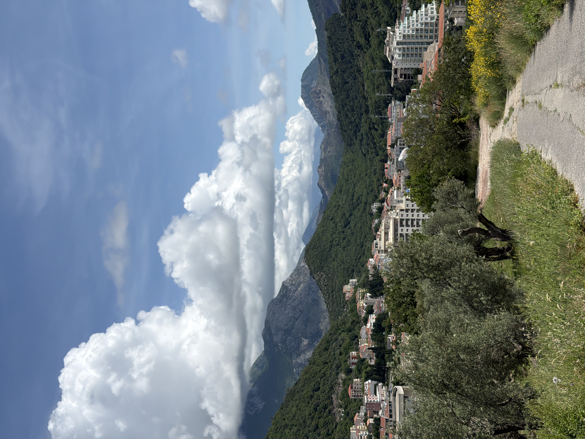 The image presents a mountainous landscape with a path and urban structures in the city of Medinski Krš, Montenegro. The foreground features a partially overgrown path lined with trees and greenery. Adjacent to the path, a dense urban area is visible, comprising multi-story buildings and smaller residences interspersed with trees. In the background, mountains covered in dense forest rise against a partly cloudy sky. The sky dominates the top left portion of the image.