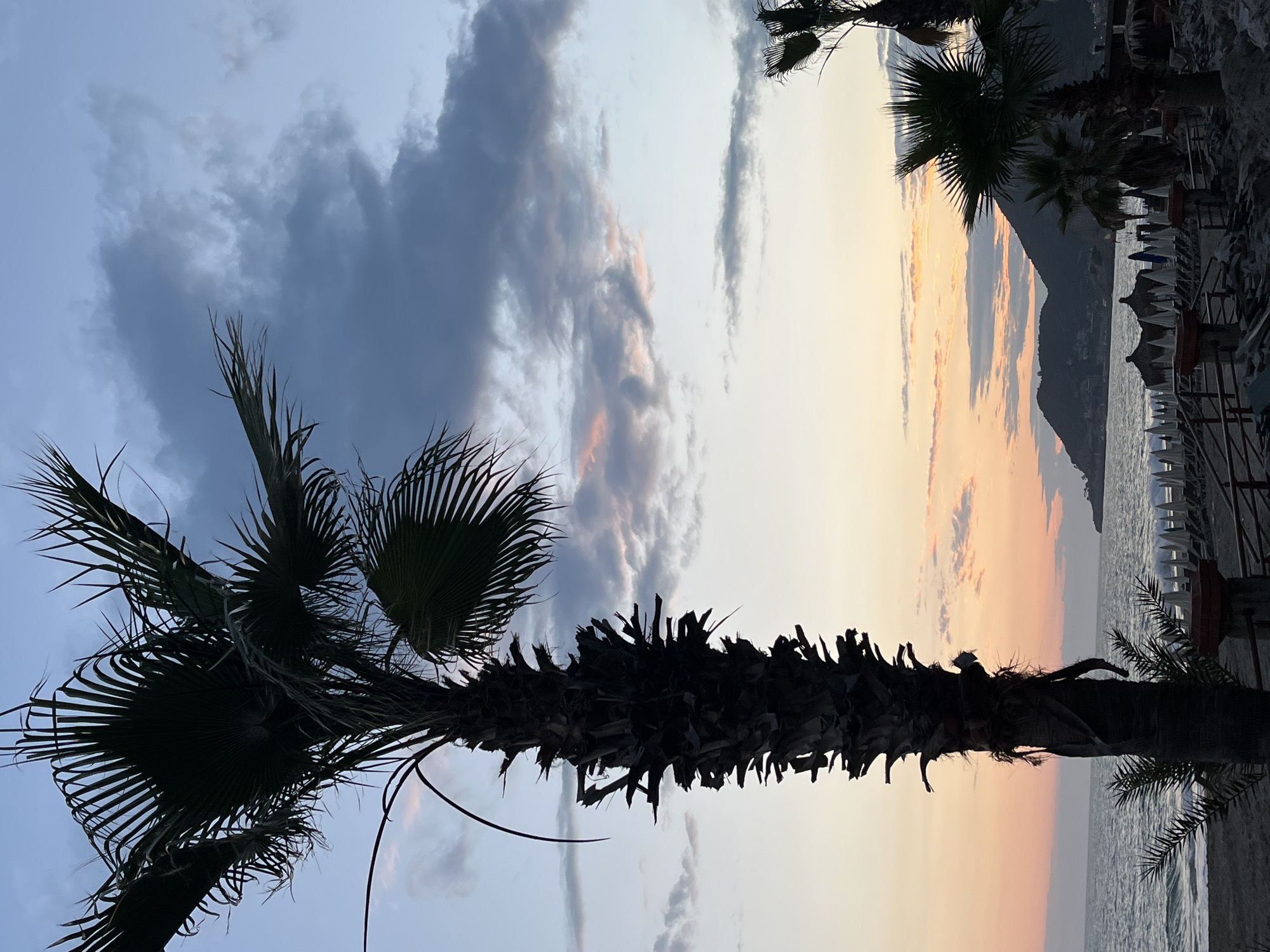 This image depicts a view of a beach scene in Alanya, Turkey, at dusk. The primary subjects are palm trees, silhouetted against a sky gradient ranging from blue to peach. The left side shows a palm tree with its fronds extending towards the sky. The right side shows parts of other palm trees along the shoreline. Beneath these trees, beach umbrellas and loungers line the beach. In the background, a mountain range is visible against the twilight sky. The sea is calm, reflecting the fading light. The overall scene conveys a tranquil, tropical atmosphere.