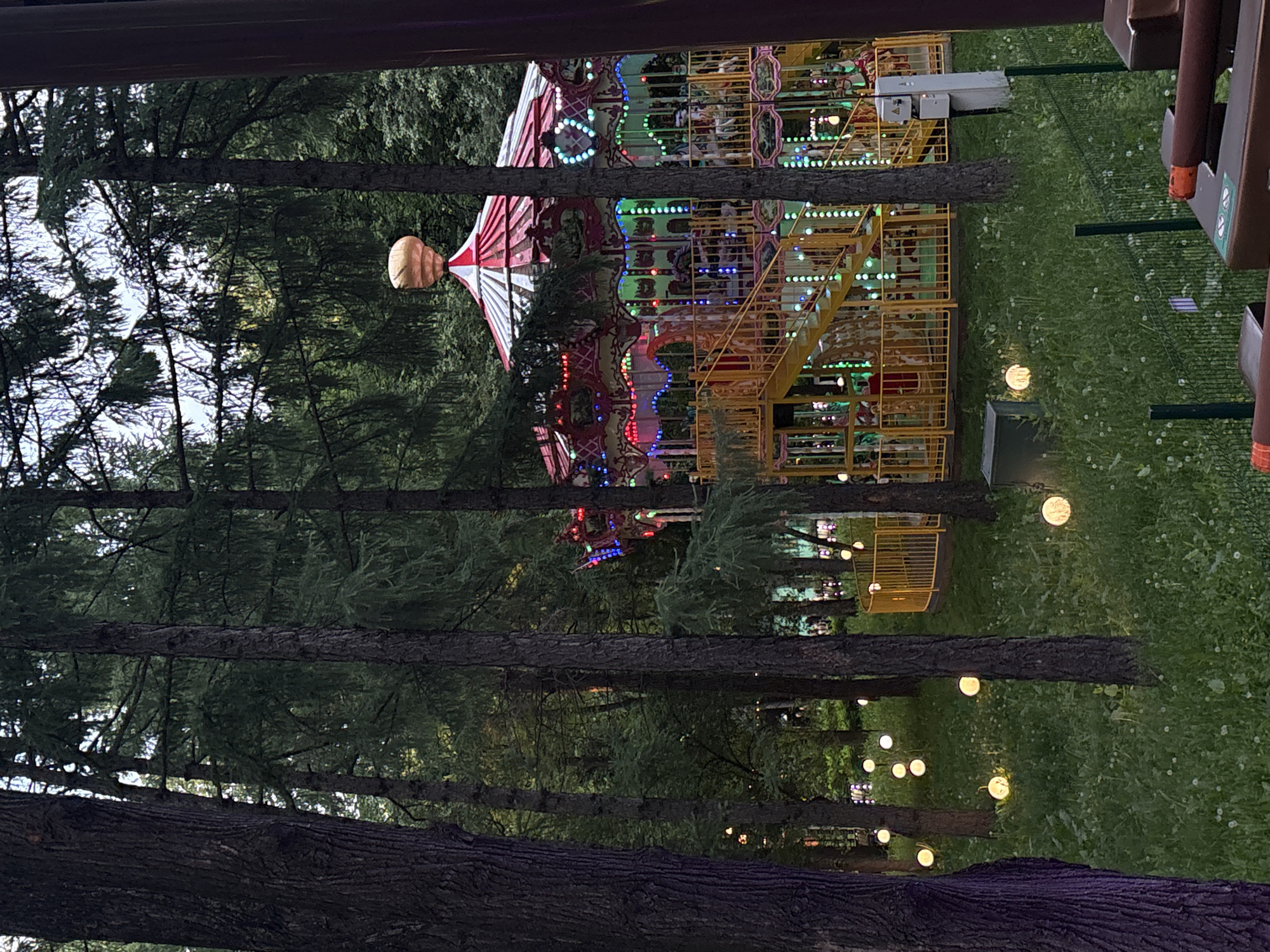 This image presents a brightly illuminated, multi-tiered carousel situated within a wooded park environment in Perm, Russia, observed during low light conditions. The carousel, a prominent subject, features a red and white striped canopy topped with a golden, bulbous finial. Its various levels are extensively decorated with colorful LED lights, displaying red, blue, green, and yellow illumination. Yellow metal railings encircle the carousel's base, and yellow stairs provide access to its main deck, where traditional carousel animals are partially visible. The scene is framed by numerous tall, slender trees with dark bark and dense green foliage, consistent with a forest or park setting. The ground beneath the trees is covered in green grass, speckled with small white flowers and several glowing spherical white lights. In the immediate foreground, components of another amusement park ride, including brown seats with orange cylindrical safety bars, are partially visible, indicating the viewpoint of the photographer. A green mesh fence extends across the mid-ground, and grey utility boxes are positioned near the fence and the carousel's base. No discernible people are present in the image.