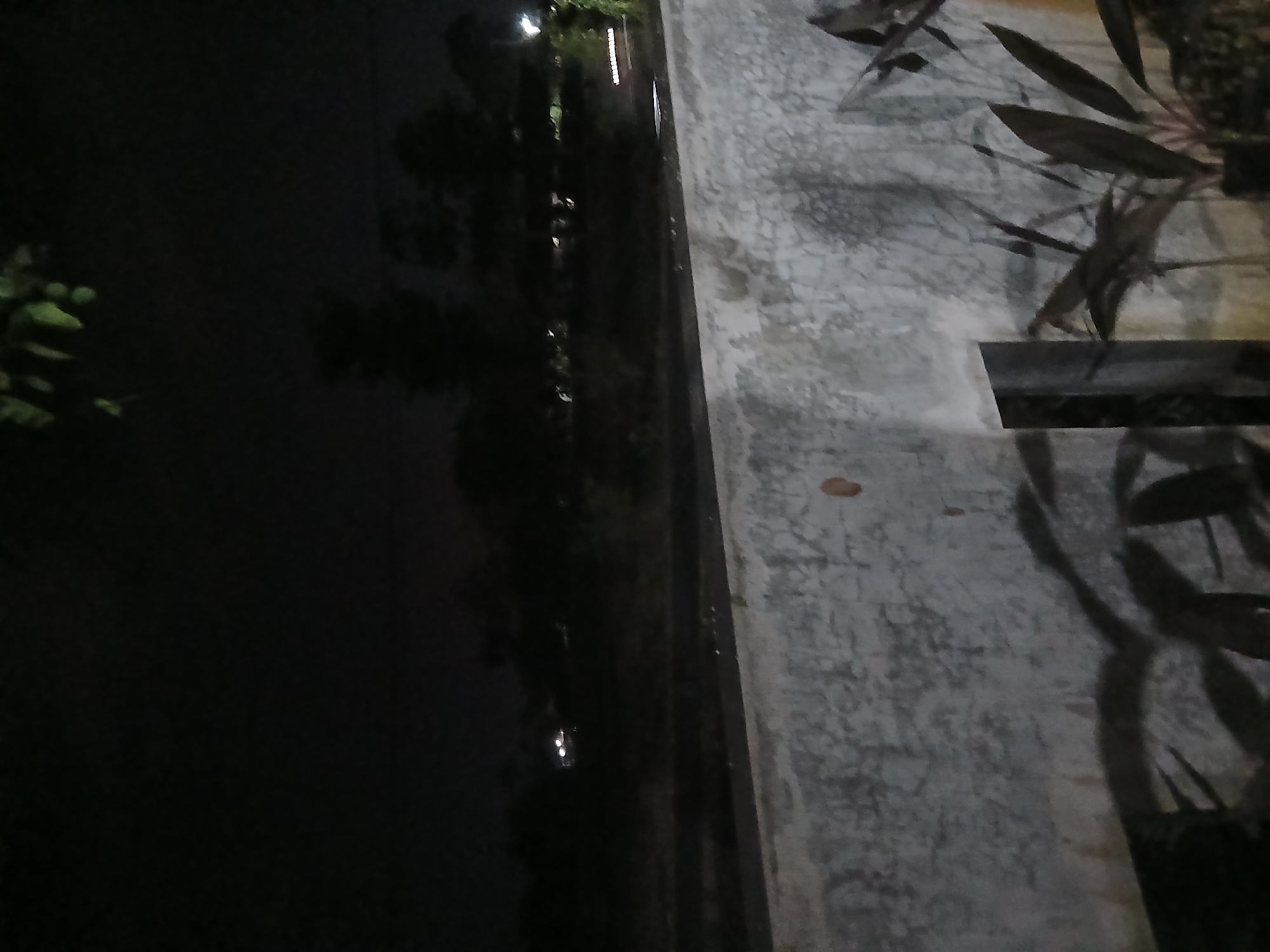 The image depicts a nighttime scene in Sekarputih, Indonesia, focusing on a textured concrete wall in the foreground casting shadows of nearby plants. Beyond the wall, a dimly lit landscape is visible with silhouetted trees and distant lights that may indicate vehicles or structures. The overall atmosphere is dark and quiet, suggesting an outdoor setting at night.