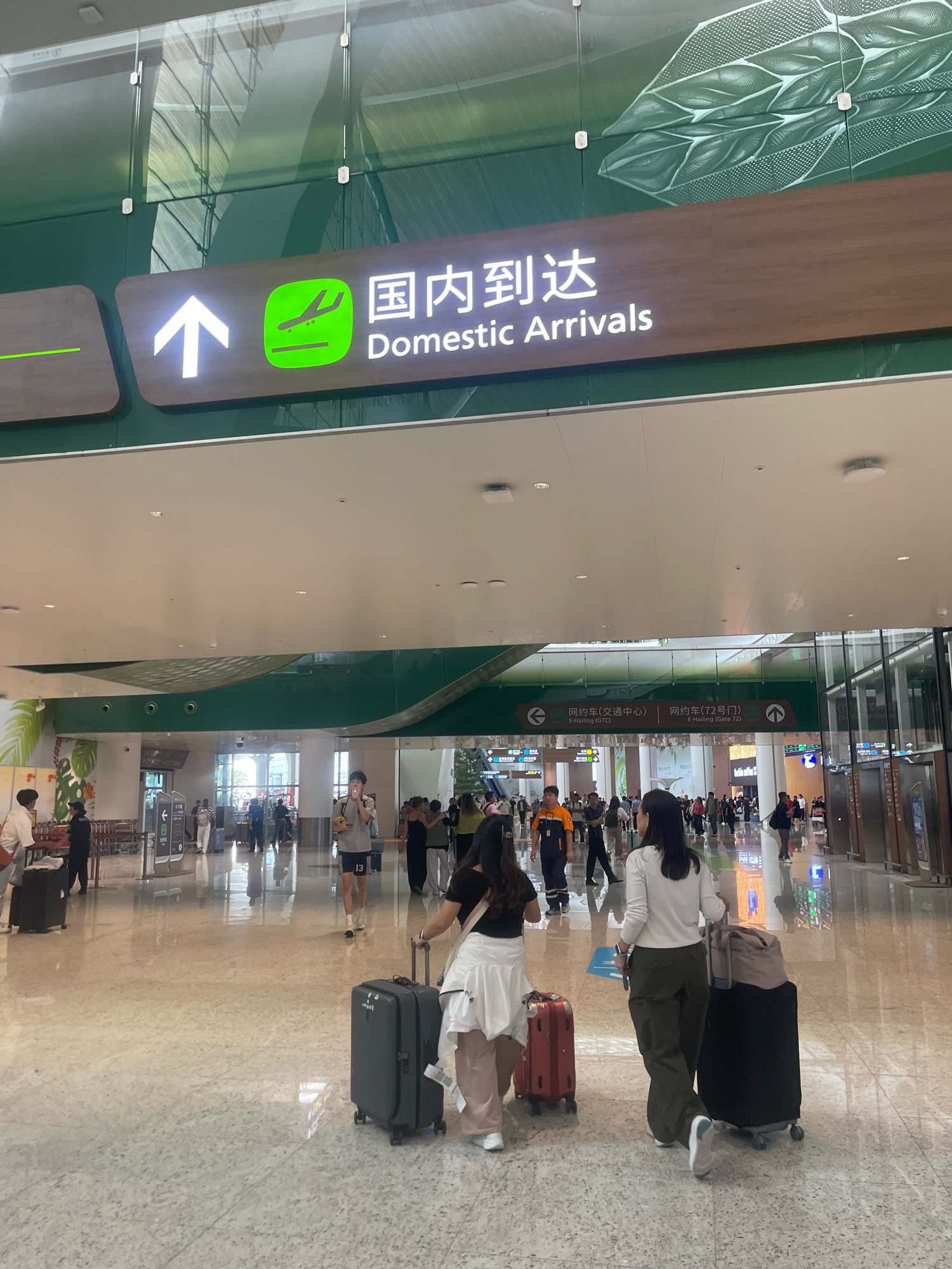 The image depicts the interior of an airport terminal, specifically within Baiyun District, China, indicated by the "Domestic Arrivals" sign in both Chinese and English. The scene is bustling with people, many of whom are seen with luggage, suggesting travel activity. Several individuals are walking, some pulling suitcases, while others are standing or conversing. The architecture features a modern design with a high ceiling, large open spaces, and reflective flooring. Green and white decorative elements, including large leaf-like patterns on the upper walls and signage, are visible. The lighting appears to be a mix of overhead ambient light and directional lighting from the signage, creating a bright and airy atmosphere. Signs for "E-Hailing (GTC)" and "E-Hailing (Gate 72)" are also present, indicating transportation services. The overall impression is that of a typical busy airport environment.