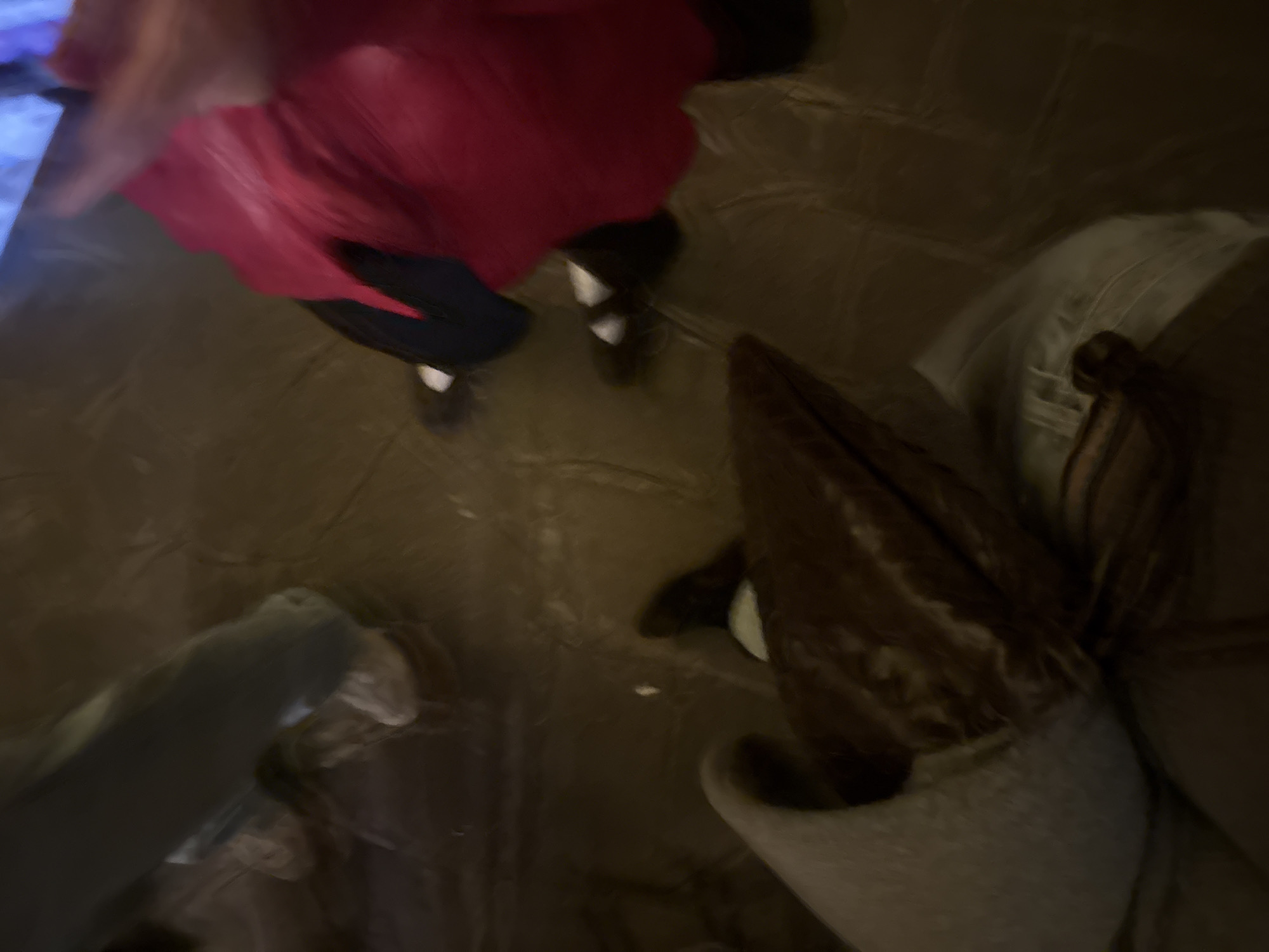 The image, captured from a top-down perspective in Milan, Italy, depicts a dynamic, dimly lit indoor scene featuring at least three individuals in motion. The overall blurriness suggests movement or a low-light setting with a longer exposure.
In the upper-left and center of the frame, one person is prominent, wearing a vibrant red garment, likely a jacket or dress, over dark trousers and dark shoes with distinct white details, possibly socks or decorative straps. Their movement is clearly indicated by the blur of the red fabric. To their immediate left, a bright blue light source or reflection is visible, possibly from a screen or illuminated display.
On the right side of the image, another individual is seen from the waist down, wearing light-colored trousers or a skirt and light-toned footwear. A distinctive, textured brown object, possibly a large handbag or a unique clothing accessory with a braided or ruffled appearance, is draped across their body. Further left, towards the bottom-left corner, a third person's lower body is partially visible, clad in light grey or bluish footwear and matching clothing, also showing signs of motion blur.
The floor beneath the individuals appears to be a dark, possibly tiled or paved surface, with faint outlines suggesting a pattern or divisions in the flooring. The low light conditions point towards an evening setting or an interior space with subdued lighting, possibly a public building, event venue, or museum in Milan. No visible text is present.