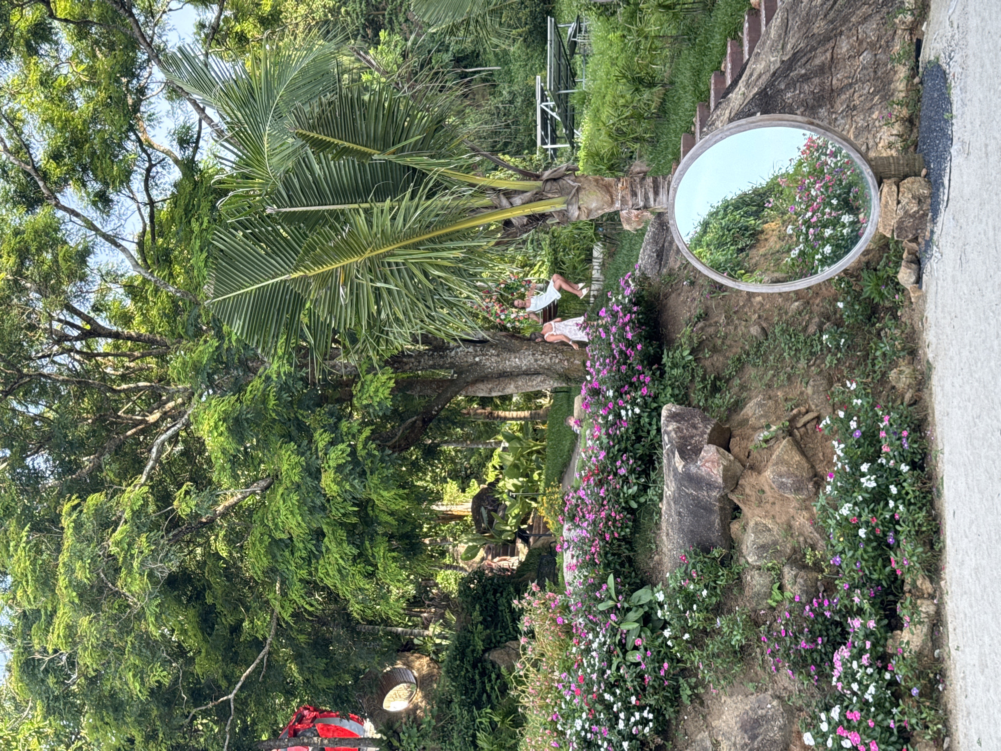 This is an outdoor, eye-level, full shot image of a lush, green garden with a large circular mirror placed in the foreground. The mirror reflects a vibrant bed of pink and white flowers. In the middle ground, two young women are visible. One is sitting on a swing hanging from a large tree, while the other stands beside her. The garden features a variety of plants, including a prominent palm tree, a large leafy tree, and dense foliage. Rocky terrain is visible on the left side of the image, with a stone pathway and stairs leading upwards in the background. The scene is bathed in natural light, suggesting it was taken during the daytime.