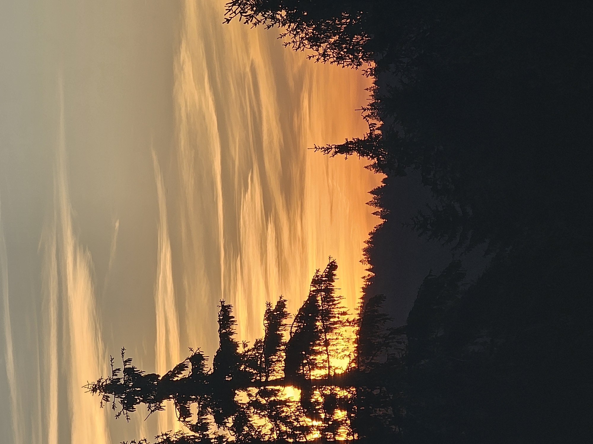 The image depicts a sunset over a forest. The sky is filled with streaks of orange, yellow, and pale blue clouds. Silhouetted pine trees form a dark band across the lower part of the image, with the sun's rays piercing through the branches of a large tree in the foreground. The location is identified as Oberhof, Germany. There are no people or animals visible in the scene. The environment is characterized by a dense forest with a dramatic sky.
