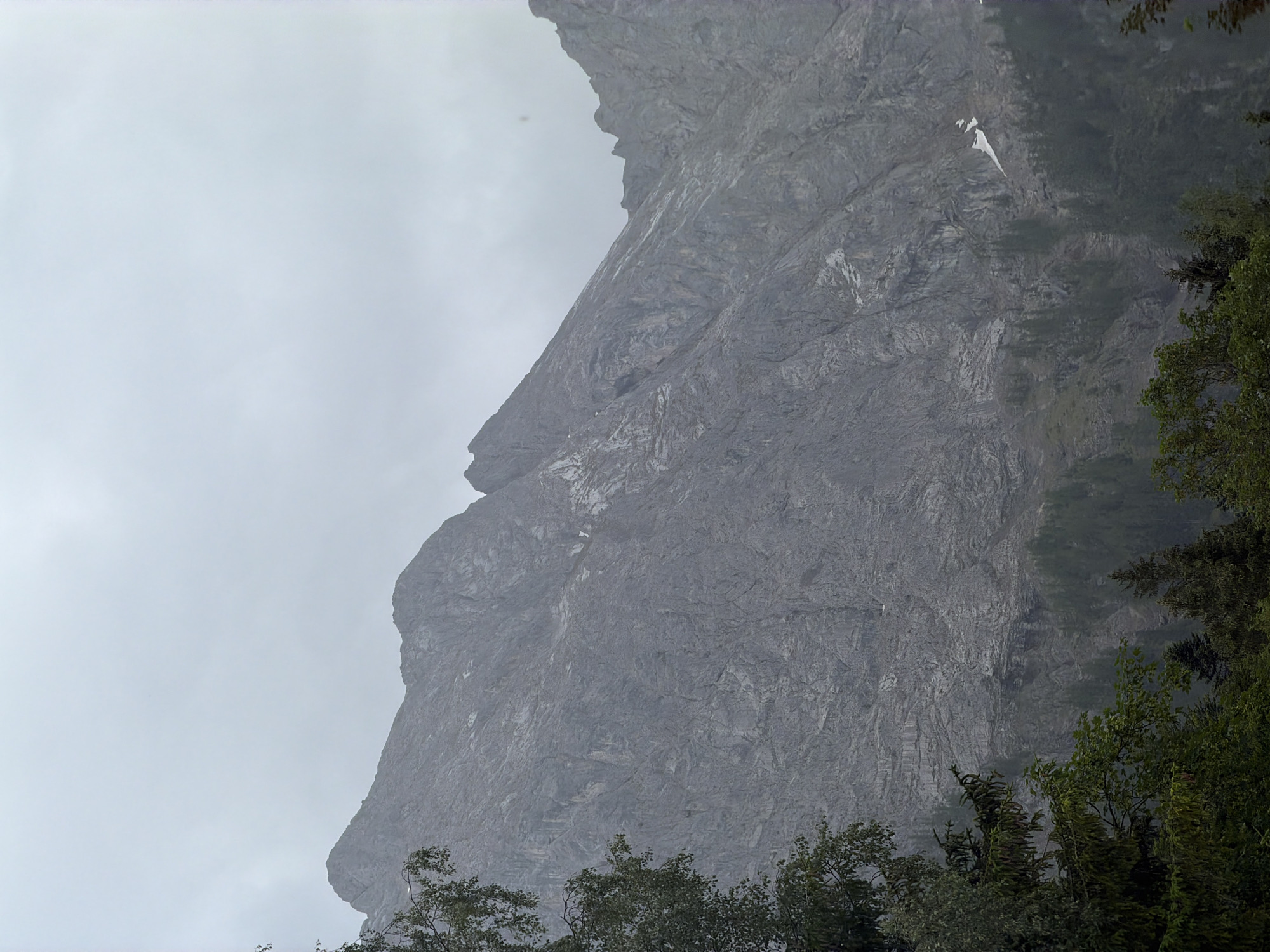 The image shows a majestic mountain range under a heavy, overcast sky. The mountains are rugged and rocky, with steep slopes and sharp peaks. Vegetation is sparse on the upper slopes, but a dense forest of evergreen trees covers the lower parts of the mountains. The sky is a uniform grey, suggesting a cloudy or misty day. In the foreground, the tops of dark green trees are visible, framing the lower part of the mountain landscape. There are no people or man-made objects in the scene. The overall impression is one of natural grandeur and a somewhat somber, atmospheric mood due to the weather. This view is likely of the Zugspitze massif, as Grainau is located at its foot in Bavaria, Germany, and the prominent rocky peaks are characteristic of the area.