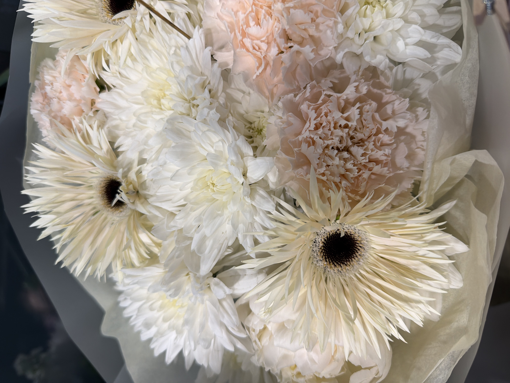 A close-up shot captures a bouquet of flowers. The bouquet is arranged with a mix of white and cream-colored flowers, interspersed with a few pale peach-colored blooms. Prominently featured are large, multi-petaled white chrysanthemums and cream-colored gerbera daisies with dark centers. The flowers are wrapped in a pale, textured paper, which appears to be tissue paper. The background is dark and out of focus, suggesting an indoor setting or low light conditions. The overall impression is one of a soft, delicate floral arrangement.