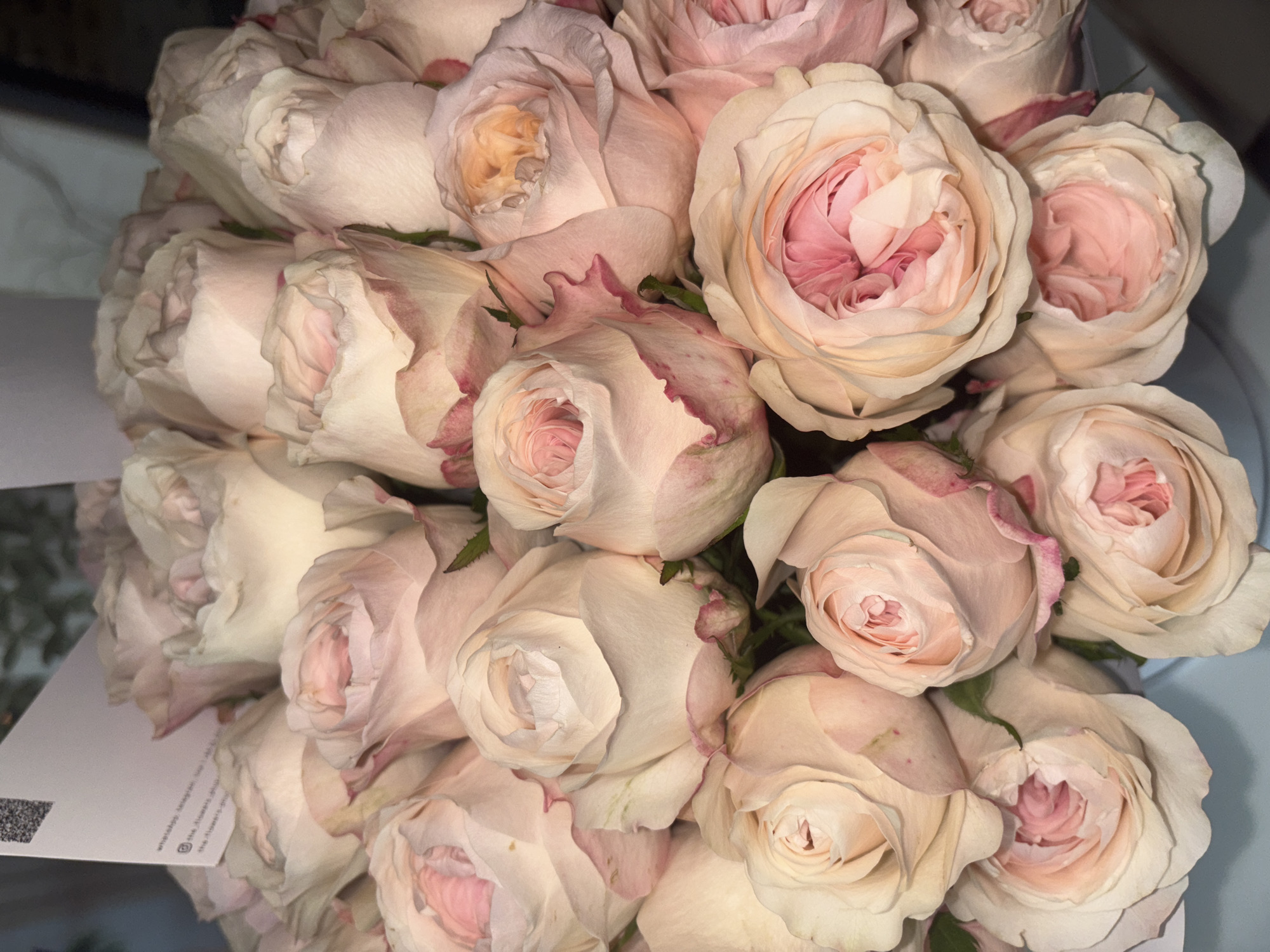 The image is a close-up of a bouquet of pale pink roses with darker pink centers and edges on some petals. A piece of paper with text and a QR code is visible in the lower left corner. The environment appears to be indoors with soft, diffused lighting. The location in Choeng Thale, Thailand is not discernible from the image. No people are visible in the image.