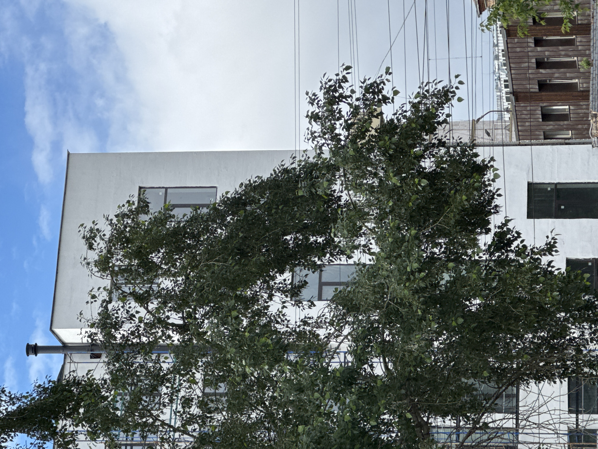 A low-angle, rotated view shows a tree with dense green foliage partially obscuring a multi-story white building. The building has multiple rectangular windows with dark frames. A metal chimney extends from the side of the building. Power lines run across the sky. To the right of the white building, a section of a building with brown wood panels and rectangular windows is visible. The sky contains patches of blue and white clouds. The exact location in Moscow, Russia, cannot be determined from the image.