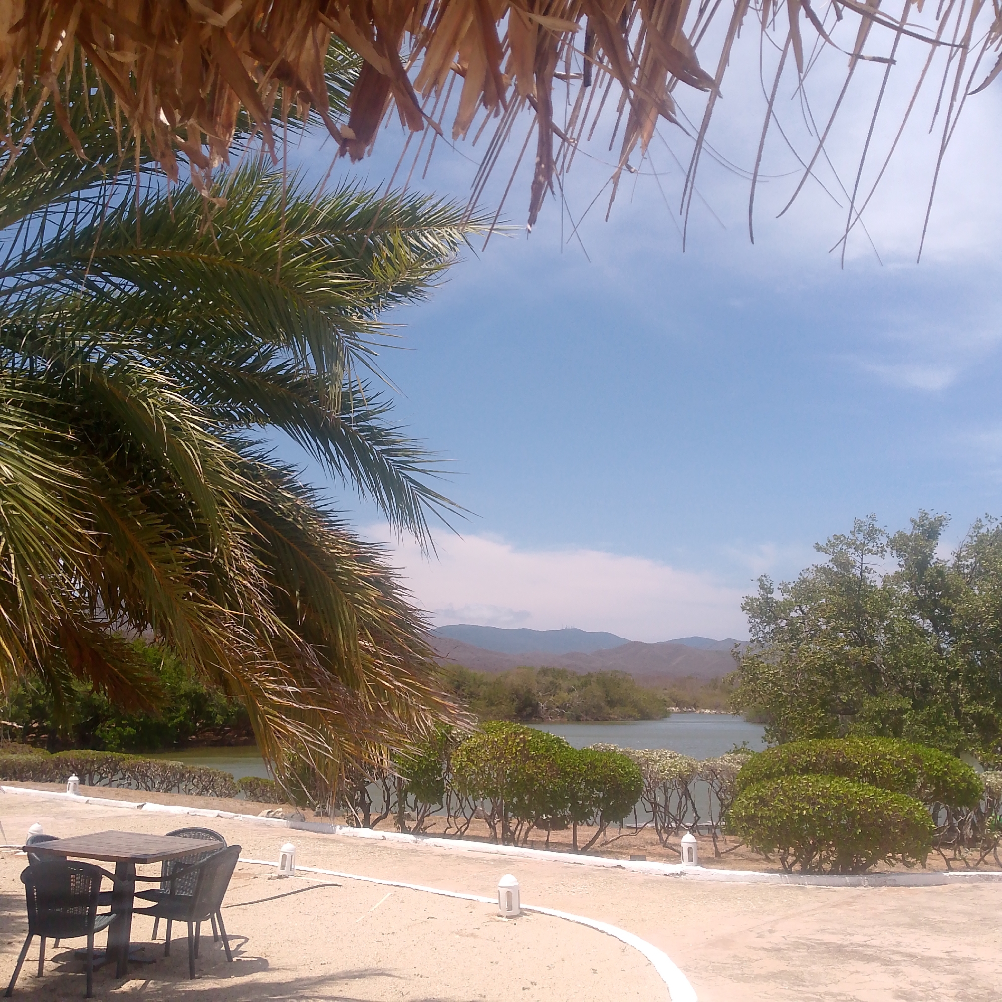 The image captures a serene outdoor tropical scene, likely a resort or restaurant patio in Pedro González, Venezuela. In the foreground, a thatched roof overhang is visible at the top, and a large palm tree with lush green fronds fills the left side of the frame, providing shade. Below the palm tree, a wooden square table is set with four dark, wicker-style chairs on a sandy or gravelly ground surface. Several white, decorative low-profile lanterns or bollards line a curving pathway or edge in the foreground and midground.
The midground features a calm body of water, possibly a lagoon or bay, with a shoreline abundant with green bushes and trees, including what appear to be mangroves. Beyond the water, more dense green foliage and trees rise, leading to a backdrop of undulating mountains under a clear, bright blue sky with a few faint white clouds.
The photograph depicts a bright, sunny day, likely late morning or early afternoon, given the strong illumination and visible shadows cast by the table and chairs. No people or visible text are present in the image. The overall atmosphere suggests peace and relaxation in a natural, warm-weather environment.