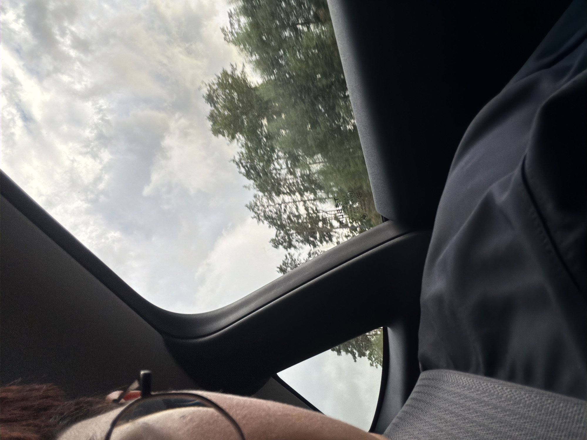 This is a point-of-view photograph taken from inside a vehicle, likely in Frillesås, Sweden. The camera is positioned to capture the view out of the rear passenger window, with the top of the passenger's head and shoulder in the foreground. The passenger is wearing glasses and appears to have dark hair. Their clothing is a dark blue jacket or shirt, with a grey fabric visible on the left side, possibly a seatbelt.
Through the window, a cloudy sky is visible, with hints of sunlight breaking through. A line of tall, green trees, likely pines, stretches across the midground. The trees are slightly blurred, suggesting motion. The interior of the car is dark, with the black plastic trim of the car's interior framing the view. A faint label with text, potentially a car window sticker, is visible on the glass. The overall impression is of a journey through a natural landscape on a partly cloudy day.