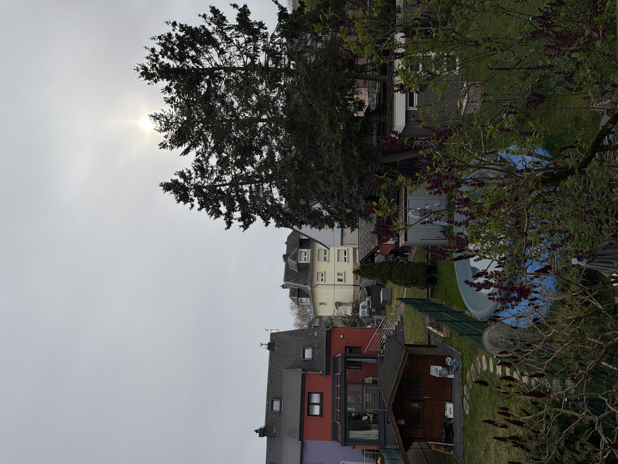 The image presents a view from a high vantage point, looking down at a residential area likely within Esch-sur-Alzette, Luxembourg. The sky is overcast, with the sun visible as a bright spot behind the clouds, positioned above a large evergreen tree in the distance.
In the foreground, a series of houses are visible, built on a sloping terrain. One house is painted a vibrant red with a grey tiled roof, and a small wooden shed is in its garden. Adjacent to this, there’s a taller, beige building.
A backyard is seen with a blue swimming pool partially covered. A metal fence surrounds a vegetable garden, and a stone pathway leads through the grass. A blooming tree with purple flowers is in the right foreground, partially obscuring the view.