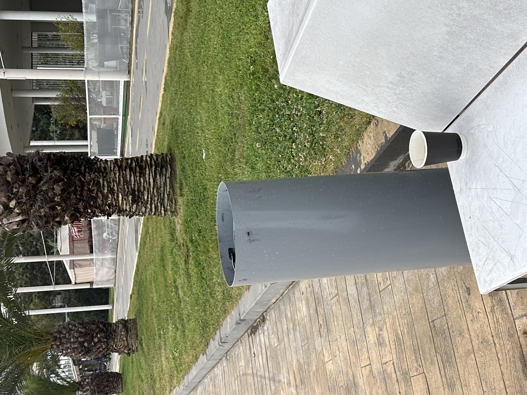 The image shows a street scene in Batumi, Georgia, featuring a palm tree, green grass, a gray cylindrical object, and a black and white cup on a white surface, possibly a table or bench. The scene suggests an urban environment with elements of nature and casual public seating.