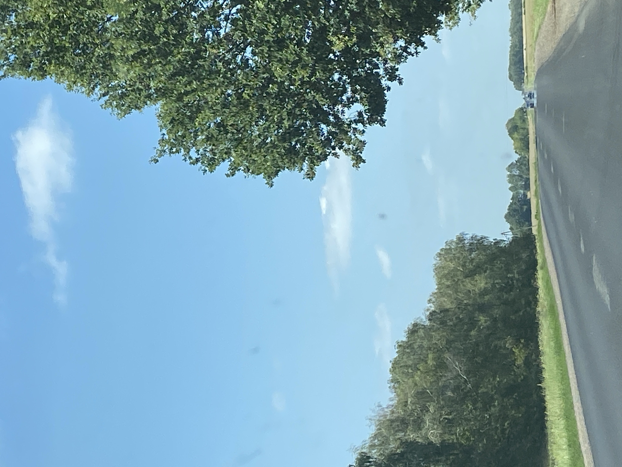 The image depicts a rural road in Матыкальскі сельскі Савет, Belarus, on a clear day with a blue sky and scattered white clouds. On the right side of the frame, a large, leafy green tree dominates the foreground, its branches extending towards the sky. The road stretches into the distance, with a green grassy verge along its left side and agricultural fields visible on the right. In the background, a line of trees marks the horizon, and two vehicles are visible on the road ahead. The overall scene conveys a sense of open space and a journey through the Belarusian countryside.