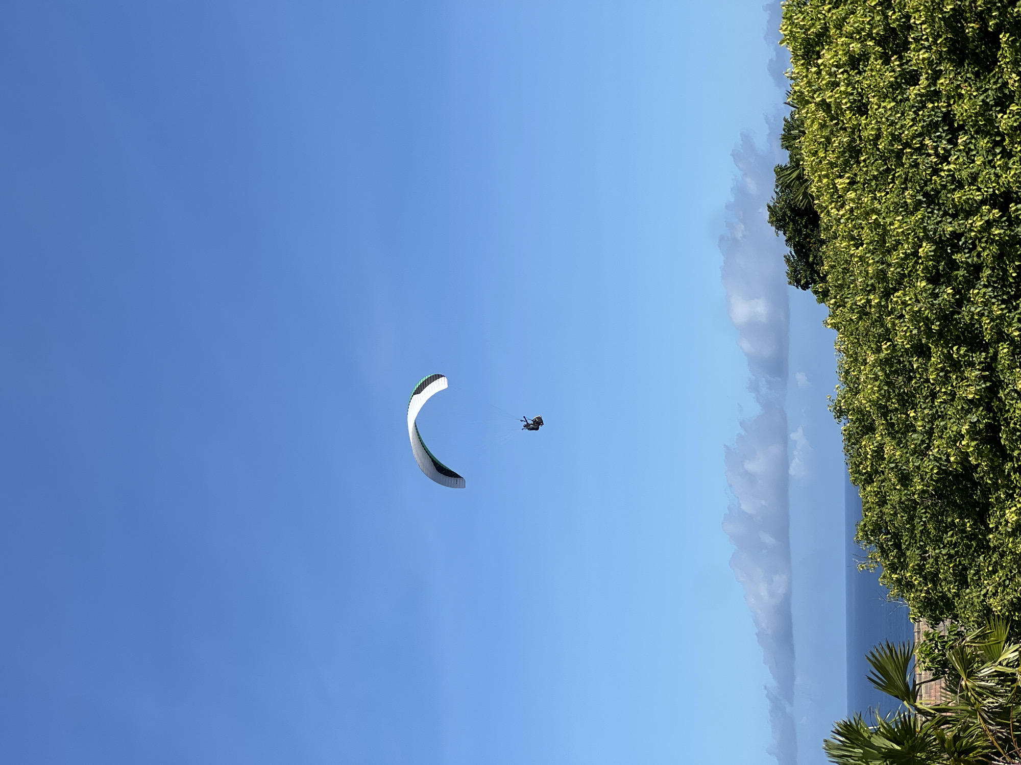 A paraglider is in the air on a clear, sunny day. A person is suspended below the paraglider. Lush green foliage and a strip of ocean are visible to the right. The location is unknown.