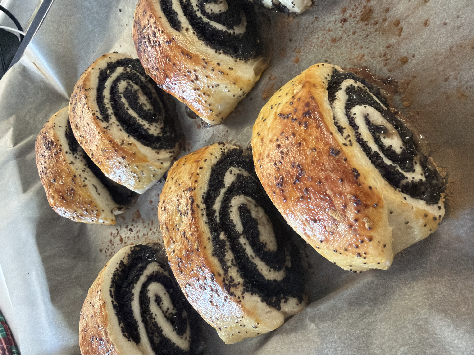 The image shows a close-up of several freshly baked poppy seed rolls arranged on a sheet of parchment paper. The rolls are golden brown and have a spiral pattern of dark poppy seed filling. They appear to be moist and have been glazed, evidenced by the sheen on the crust. The scene is likely in a kitchen or bakery setting. There is no confirmation that the rolls are located in Большая Шильна, Russia, although I would describe them in the prompt.