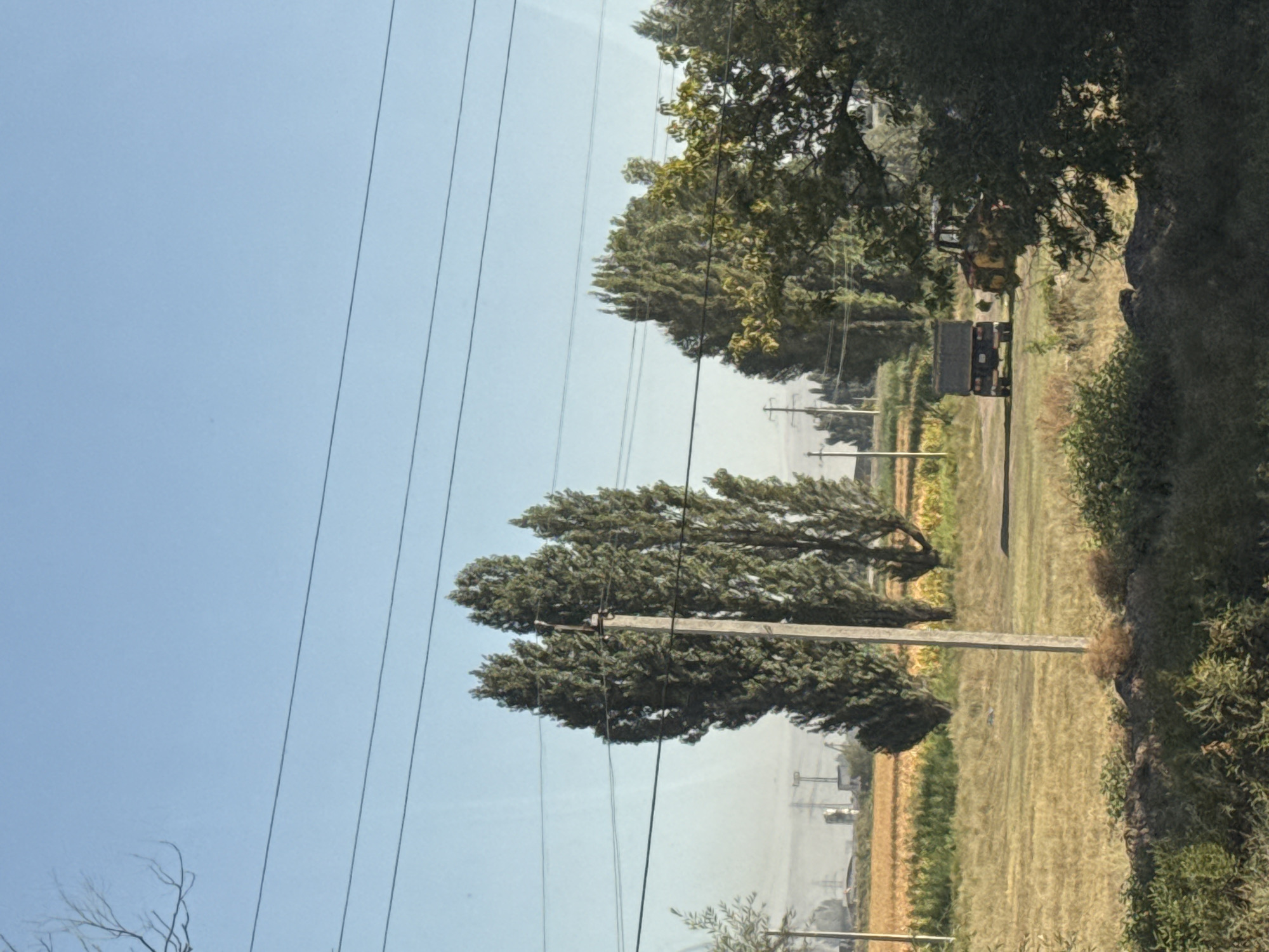 The image depicts a rural scene with a clear blue sky and power lines crossing the frame. In the foreground, a dirt or gravel path runs horizontally across the landscape. On the path, there is a dark-colored truck with its bed raised, and to its right, a yellow tractor. Behind the path, fields of golden crops, likely wheat or corn, stretch towards the horizon. Several tall, slender trees with dense green foliage are scattered throughout the scene, along with some smaller bushes and vegetation. In the far distance, industrial structures and power pylons are visible, suggesting proximity to an urban or industrial area. The overall impression is one of agricultural activity and a functional, somewhat arid landscape under a bright, sunny sky.