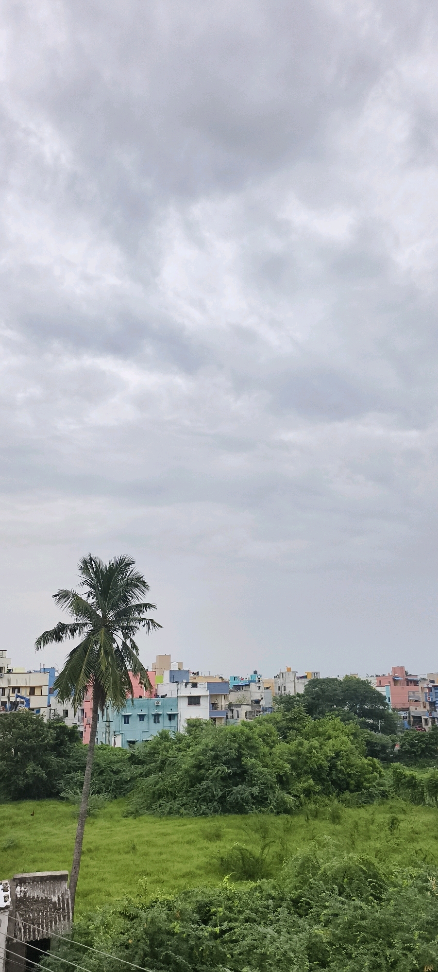 The image shows a slightly overcast sky over the city of Kundrathur, India. In the foreground, a grassy field is bordered by lush green trees. To the left of the field, a tall, slender palm tree stands prominently. Behind the trees, a line of multi-colored buildings, typical of urban Indian architecture, stretches across the horizon. The buildings display a variety of pastel shades, including light blue, pink, white, and yellow. The overall scene captures a blend of nature and urban development.