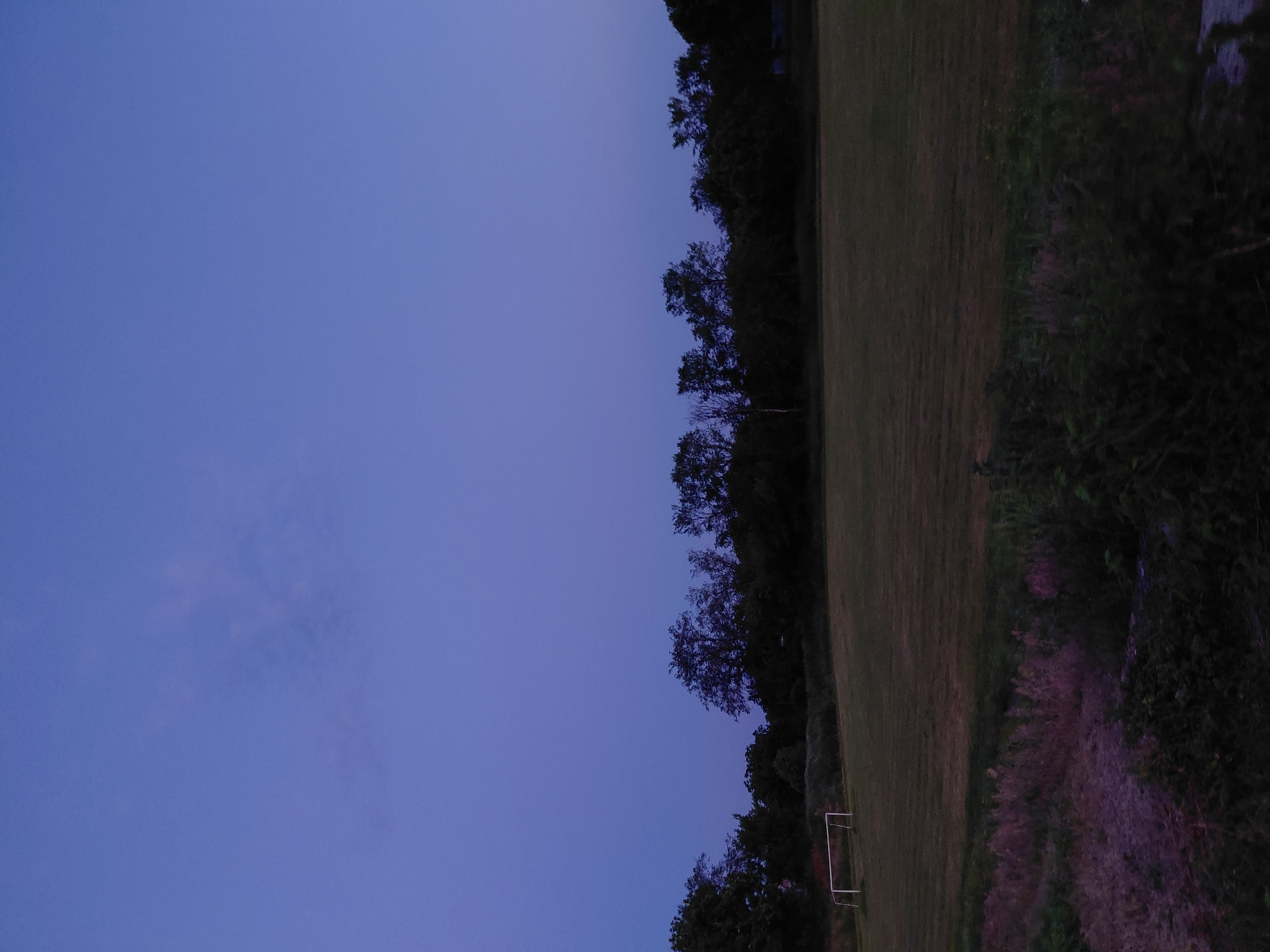 The image depicts an outdoor scene at dusk. In the foreground, there is dark vegetation with some hints of purple flowers. Beyond this, a grassy field stretches across the midground, with a white soccer goal visible on the left side. A line of trees forms the background, with the sky above transitioning from a deep blue to a lighter shade. The location is identified as Ustyvytsia, Ukraine, suggesting a rural or semi-rural setting. There are no people or animals visible in the frame, and no specific actions are taking place. The lighting suggests it is either early morning or late evening.