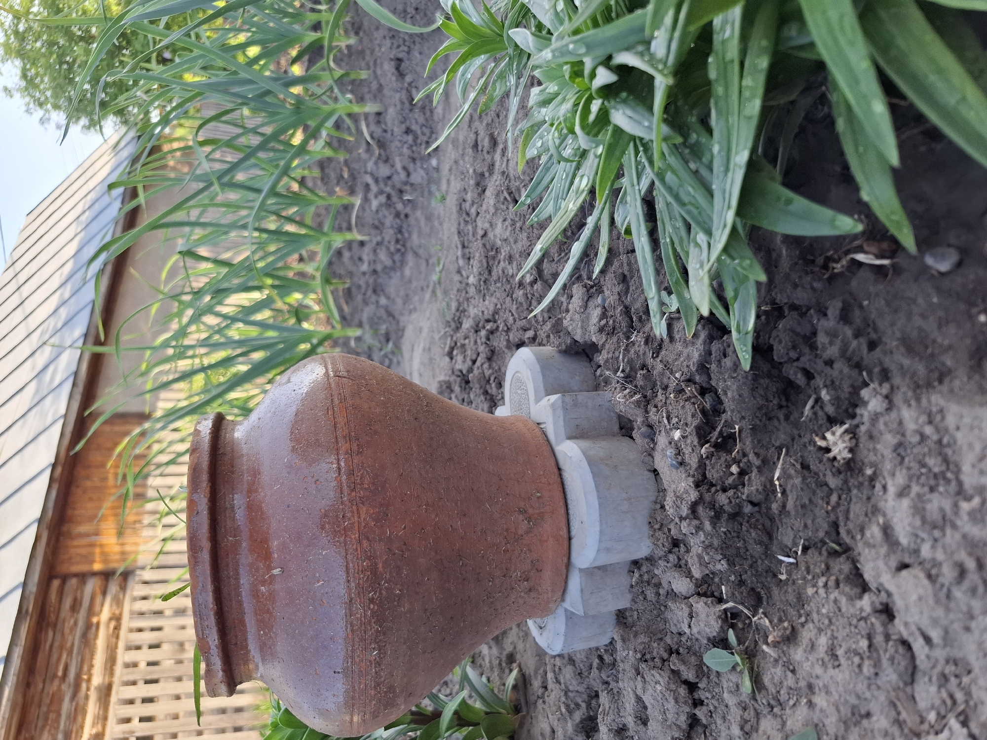 The image shows a brown clay pot resting on a concrete base with a flower-like design. The pot and base are situated on dark soil, likely in a garden or cultivated area. Green plants are growing near the pot. In the background, a wooden structure, possibly a fence or a shed, is partially visible. The location is specified as Амзя, Russia, but there are no visual cues in the image to confirm this location. There are no people visible in the scene. The subject is a decorative arrangement of a clay pot on a concrete base, situated in a garden or cultivated area. The focus is on the objects and their placement within the environment.