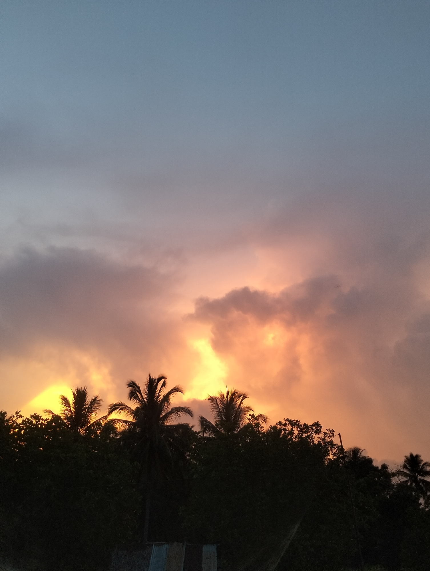 A vibrant sunset or sunrise illuminates the sky over a landscape primarily composed of silhouetted trees. The lower and central portions of the sky are bathed in intense hues of orange, yellow, and pink, suggesting the sun is positioned just below the frame or obscured by the foliage. Dark, greyish-purple clouds are scattered throughout the sky, some catching the warm light from below, creating a dramatic contrast. The upper sky fades into a cooler blue-grey. Numerous palm trees, along with other dense tree canopies, form a dark, jagged silhouette across the bottom half of the image, obscuring the horizon. No specific human activity or visible text is present. The scene evokes a tranquil, natural setting, typical of a tropical environment like Lhokseumawe, Indonesia.