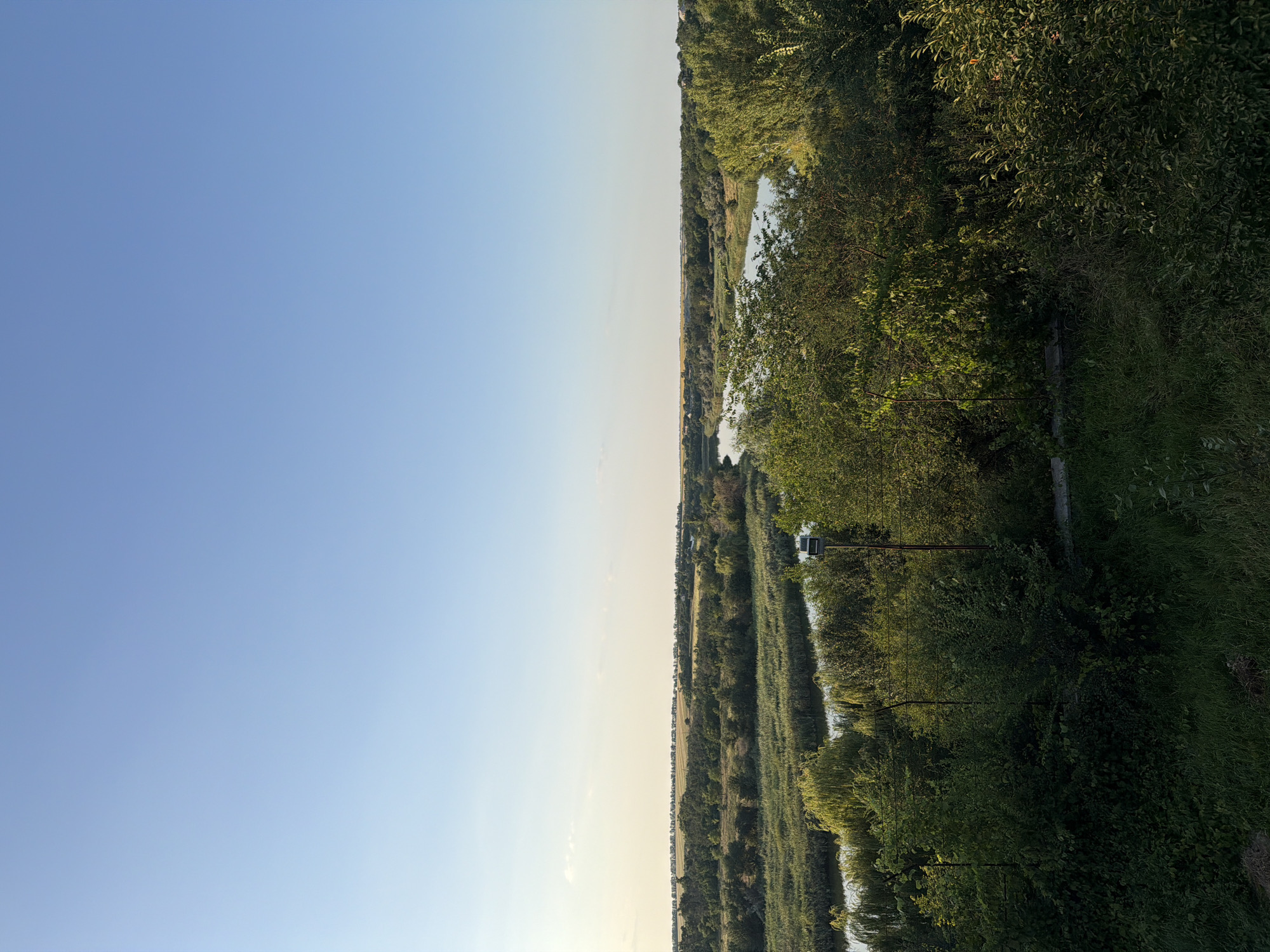 The image depicts a wide landscape view from an elevated position overlooking a river and surrounding vegetation. The sky is clear and a pale blue, transitioning to a lighter shade near the horizon. Below the sky, a flat expanse of land stretches out, characterized by agricultural fields and a treeline. A body of water, likely a river or a large canal, meanders through the middle ground, bordered by dense reeds and lush green trees. In the foreground, a variety of trees and bushes create a dense, verdant frame. A black object, possibly a light fixture or a surveillance device, is mounted on a pole amidst the foliage on the right side of the frame. The scene appears to be a rural or semi-rural area, likely in the vicinity of Lozuvatka, Ukraine, given the characteristic landscape of such regions with agricultural fields and water bodies. There are no people visible in the image.
