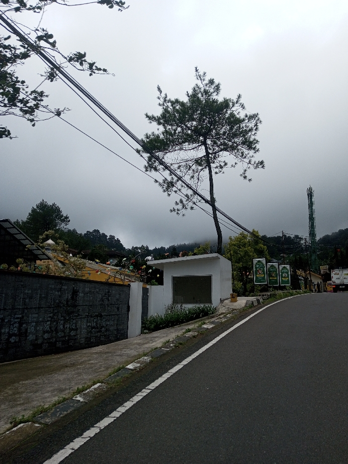The image displays a roadside view in Bangtsho, Bhutan, under a heavily overcast sky. An asphalt road, marked with a solid white edge line, curves from the lower right towards the upper right. A concrete curb separates the road from an elevated concrete pathway on the left. Along this pathway, a dark gray wall, marked with patterns, is topped by what appears to be a security barrier. Behind this wall, a yellow building is adorned with multi-colored decorative elements, and a white dome structure is partially visible. A small, white rectangular building with a dark, recessed window opening stands on the pathway, partially obscured by green foliage. A tall, slender pine tree grows immediately behind this white structure. Multiple black utility lines stretch horizontally across the upper mid-ground, passing behind the pine tree. Further along the road to the right, three vertical green signs are positioned, followed by a prominent green lattice telecommunications tower. A white truck is partially visible on the road in the far right mid-ground. The background comprises dense, forested hills, partially enveloped by low-lying fog or clouds. No individuals are visible.