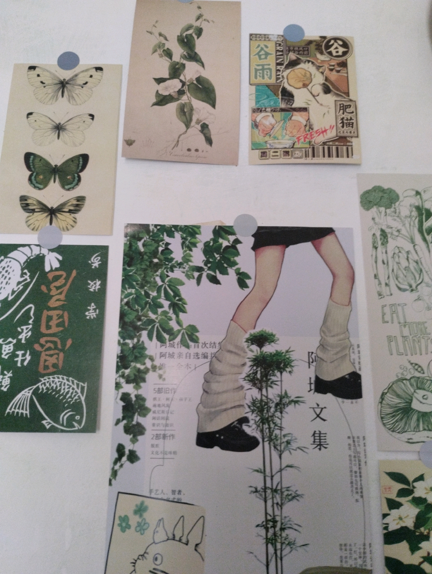 The image displays a collage of various decorative papers adhered to a white surface, likely a wall or bulletin board, in what appears to be an indoor setting. The collage features several distinct items:
1. **Butterfly illustrations:** A vertical postcard on the left showcases four different species of butterflies with detailed illustrations.
2. **Botanical illustration:** To the right of the butterfly postcard is another postcard with a vintage illustration of a flowering vine.
3. **Cat illustration with text:** A small, square card features a drawing of a cat in a playful pose with Japanese text and graphics.
4. **Legs and plant imagery:** A large piece of paper in the center-right shows an illustration of a person's legs wearing leg warmers, placed against a backdrop of green foliage and bamboo plants. There is also text in Japanese on this piece.
5. **Vegetable illustrations:** On the far right, a postcard depicts illustrations of various vegetables with the English text "EAT MORE PLANTS".
6. **Fish illustration with text:** A dark green card on the left features a stylized illustration of a fish and Chinese text.
7. **Totoro-like character drawing:** A small drawing of a character resembling Totoro from Studio Ghibli is visible at the bottom of the central-right piece.
8. **Floral illustration:** A small, rectangular card at the bottom right shows a detailed illustration of white flowers and green leaves.
The arrangement suggests a decorative display or mood board. There are no people or actions depicted in the image. The environment is a plain white background. The image does not contain any information that would allow for the identification of its location within the city of Cimenyan, Indonesia.