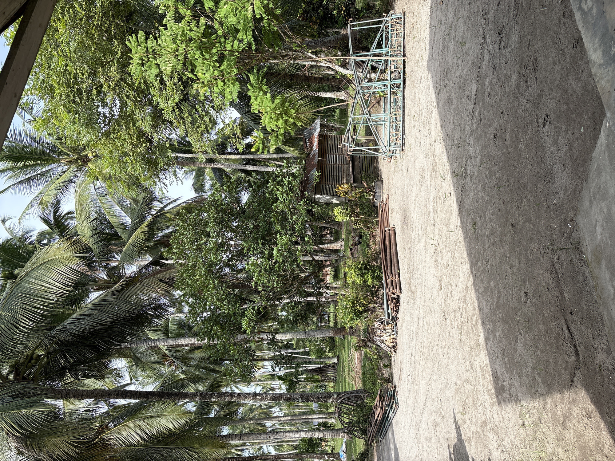 The image depicts a scene outdoors, possibly in Beunyot, Indonesia, with a dense background of palm trees and other lush greenery. In the foreground, a dirt ground is visible, with some shadows cast across it. To the left, a pile of long metal pipes is neatly stacked. To the right, a partially assembled structure made of light blue metal scaffolding is present. Further into the scene, behind the scaffolding, is a small, rustic shack with a corrugated metal roof and wooden slat walls. A few more piles of metal pipes and wooden materials are scattered around the area, and some shrubbery is present. The overall impression is one of an outdoor workspace or storage area amidst a tropical environment.