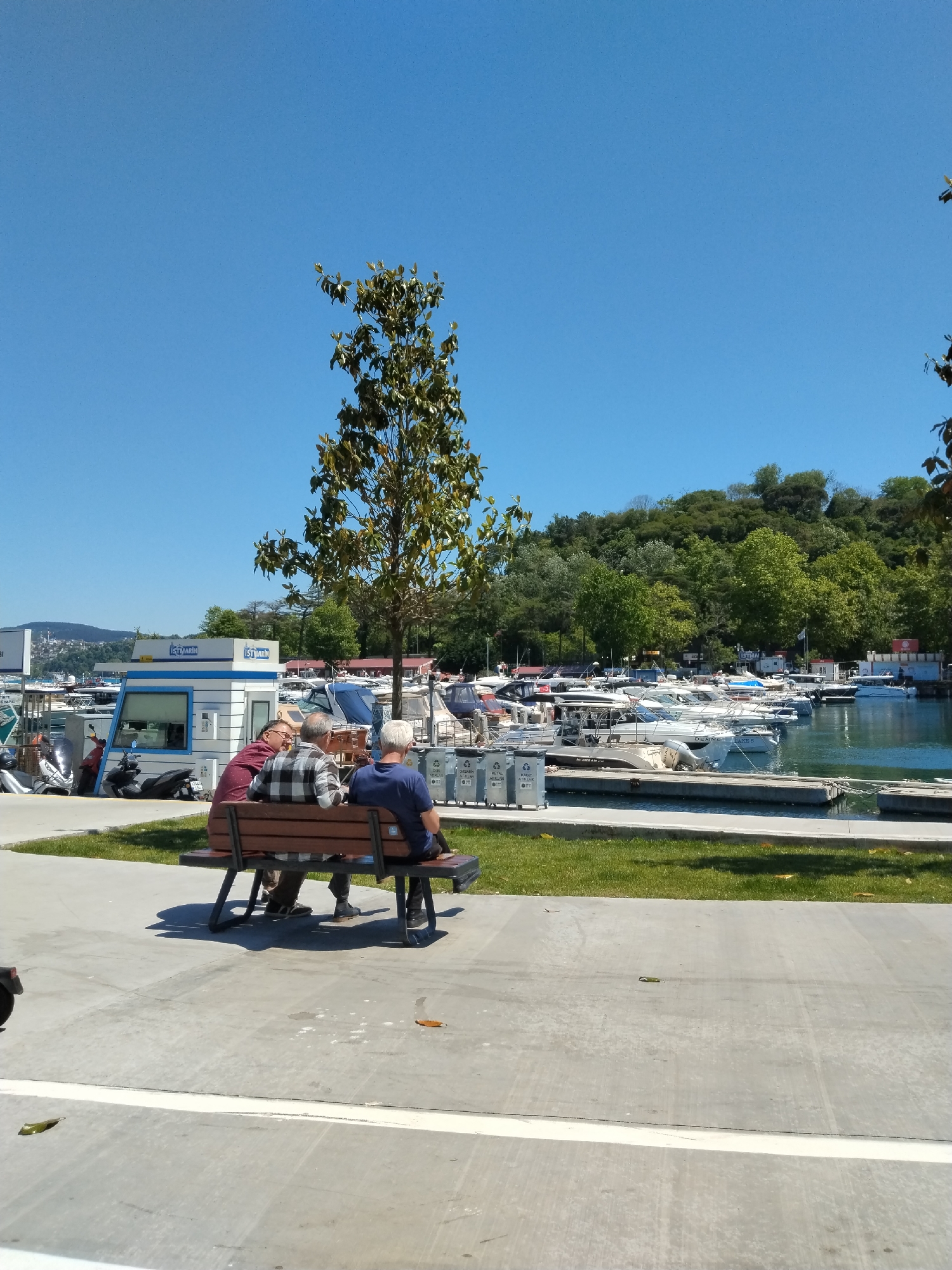 The image depicts three elderly men sitting on a park bench near a marina. The men are facing away from the viewer, engaged in conversation. In the background, there are numerous boats docked in the marina, with a small blue and white building marked "İSTMARİN" visible. A tree stands near the bench, partially obscuring the marina view. The sky is clear and blue, suggesting a sunny day. The location appears to be a waterfront area, possibly in Istanbul, Turkey, given the "İSTMARİN" sign.