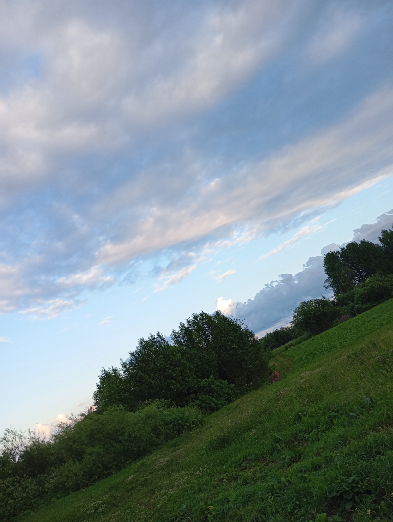 The image depicts a slightly tilted view of a rural landscape under a cloudy sky. The scene is dominated by lush green vegetation, with a rolling hill covered in grass and foliage filling the lower and middle sections of the frame. A line of dense trees forms a darker green border along the top of the hill, separating it from the sky. The sky itself is a mixture of pale blue and various shades of grey and white clouds, suggesting an overcast or partly cloudy day. The clouds are streaky and wispy in some areas, and more textured and voluminous in others, creating a dynamic visual texture. The lighting suggests it is either late afternoon or early evening, as the light is soft and diffused. There are no people or specific objects visible, emphasizing the natural scenery. The location is identified as Ryabki, Russia, which aligns with the rustic, green landscape. The overall mood of the image is tranquil and serene, evoking a sense of peace and the beauty of nature. There is no visible text in the image.