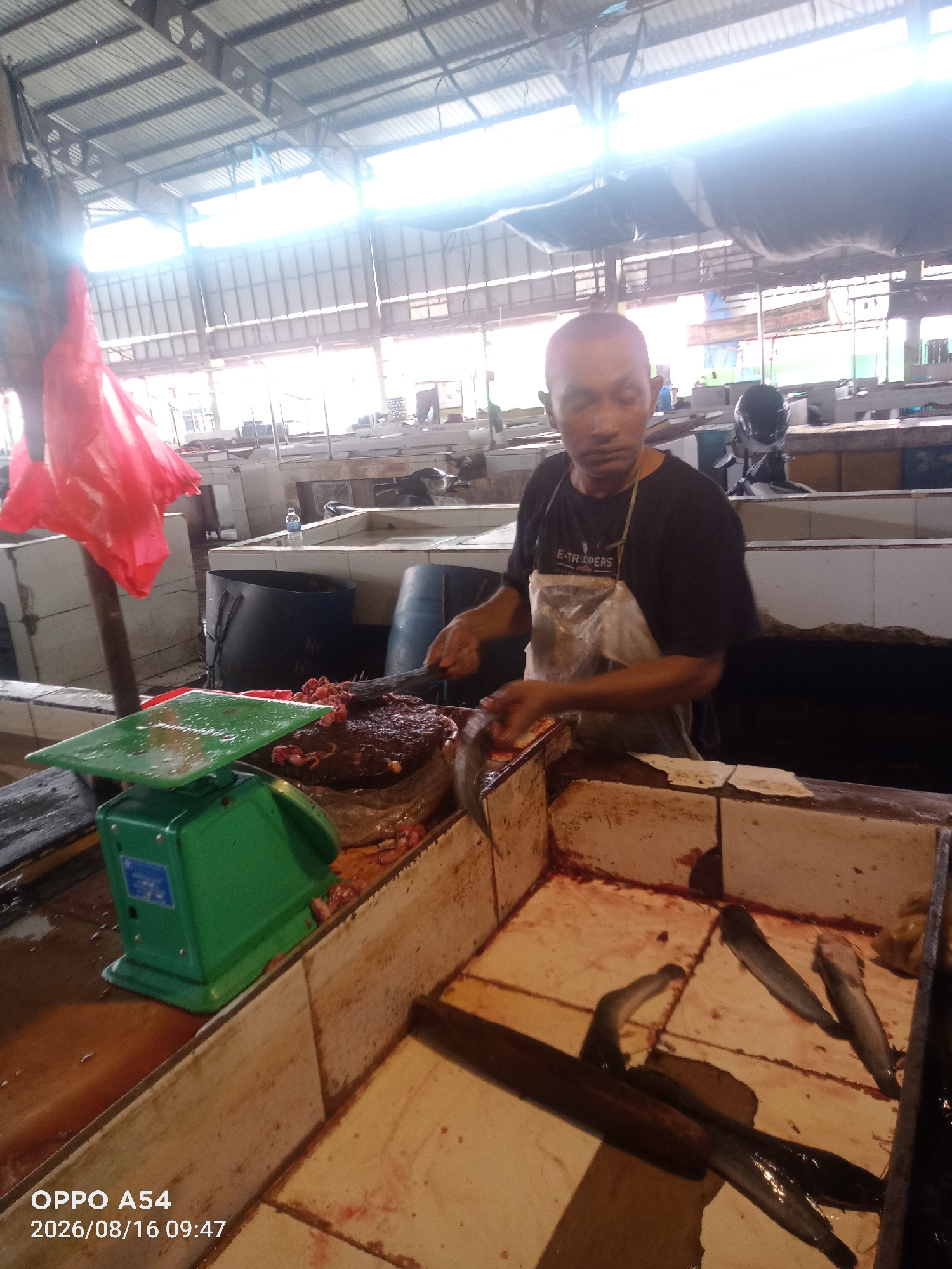 A man, wearing a black t-shirt with "E-TROOPERS" printed on it and a clear plastic apron, is preparing fish at a market stall. He is bald and has a medium complexion. In front of him is a green mechanical scale and a large piece of raw meat or fish. To his right, in a concrete trough, are several fish. The environment appears to be an indoor market with a corrugated metal roof and exposed beams. Sunlight is streaming in from above, creating bright, washed-out areas in the image. The market stall is made of concrete and wood. The timestamp in the lower left corner indicates the image was taken on August 16, 2026, at 09:47. Based on the context of the image, this scene is likely taking place at a fish market in the city of Jambi, Indonesia.