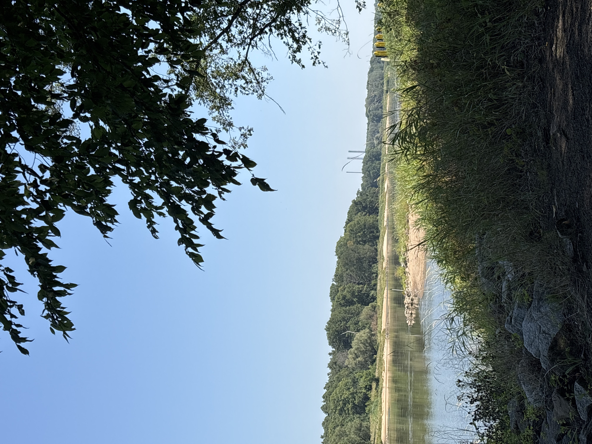 The image depicts a natural landscape scene, likely near a river or body of water. In the foreground, there are rocks and tall green grasses. The middle ground features a sandy shore bordering a body of water, with more vegetation. In the background, a dense line of green trees forms the horizon, with a clear blue sky above. Distant industrial structures, possibly smokestacks, are visible in the far background on the left. The overall impression is one of a serene, natural environment. There are no people or animals visible in the image, and no actions or interactions are taking place. The scene is static and captured in daylight. There is no information within the image itself to confirm a specific location within Zielona Góra, Poland.