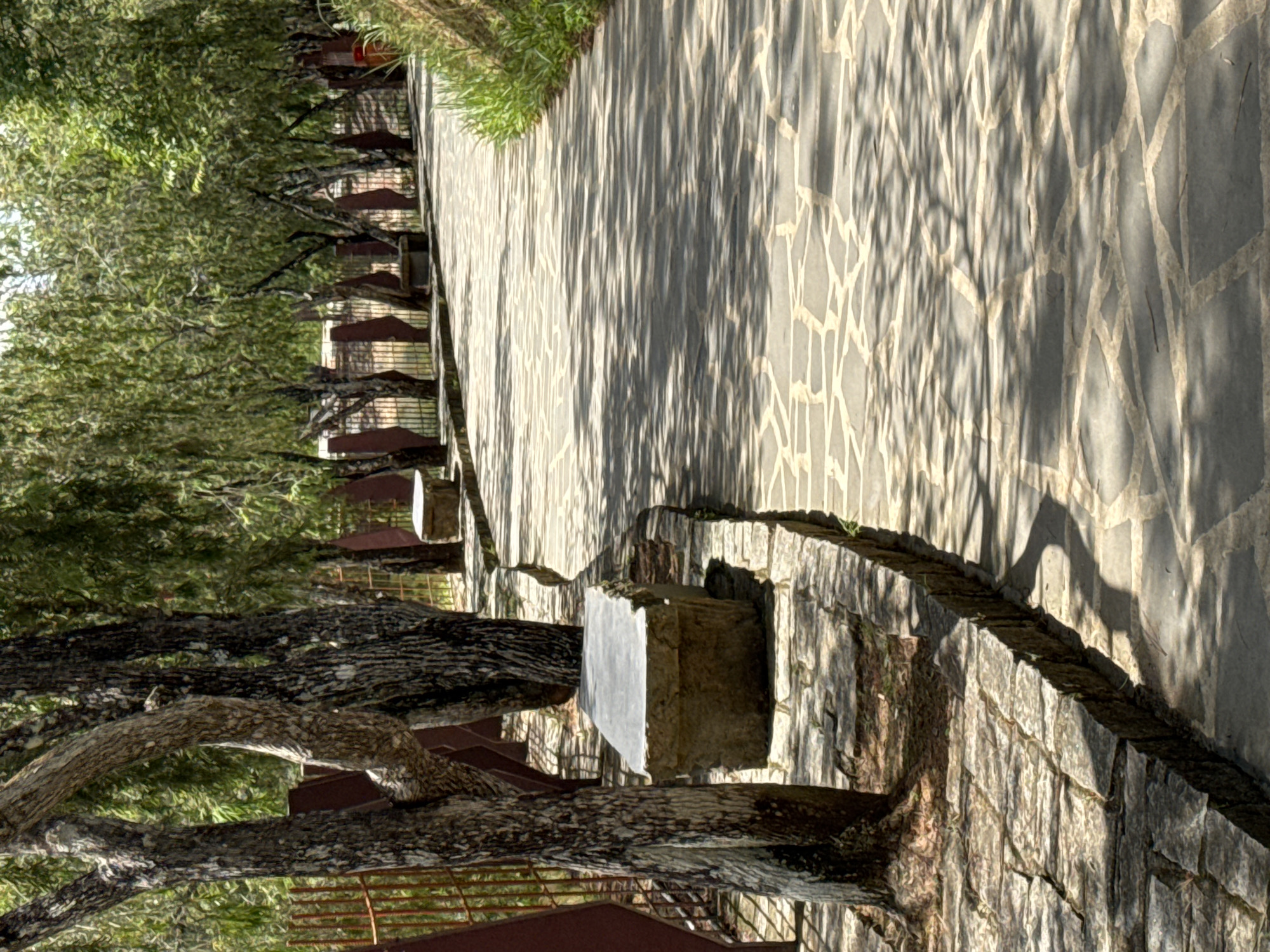 The image depicts a shaded stone pathway winding through a park-like setting, likely in Da Lat, Vietnam. Tall trees with rough bark and dense green foliage line the left side of the path, casting dappled shadows across the stone surface. Several simple, block-like stone benches are visible along the pathway, suggesting a place for rest and contemplation. A rustic metal fence runs along the perimeter on the left, partially obscured by the trees. The pathway itself is paved with irregular, light-colored flagstones, interspersed with darker grout lines, creating a mosaic-like pattern. The environment appears natural and serene, with abundant greenery and the play of light and shadow creating a tranquil atmosphere. There are no people visible in the scene.