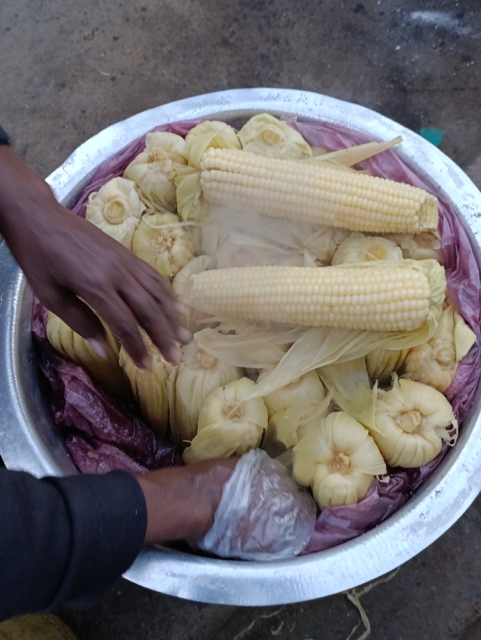 The image shows a large silver bowl filled with corn on the cob, wrapped in husks. Two hands are visible, one bare and one wearing a plastic glove, interacting with the corn. The bowl is sitting on a dirt surface. The scene takes place in Githurai, Kenya, a town located at the coordinates -1.205 latitude, 36.916 longitude. The individuals appear to be preparing or selling the corn on the cob. The environment is likely an outdoor market or street food stall. The overall image suggests a busy and bustling marketplace.