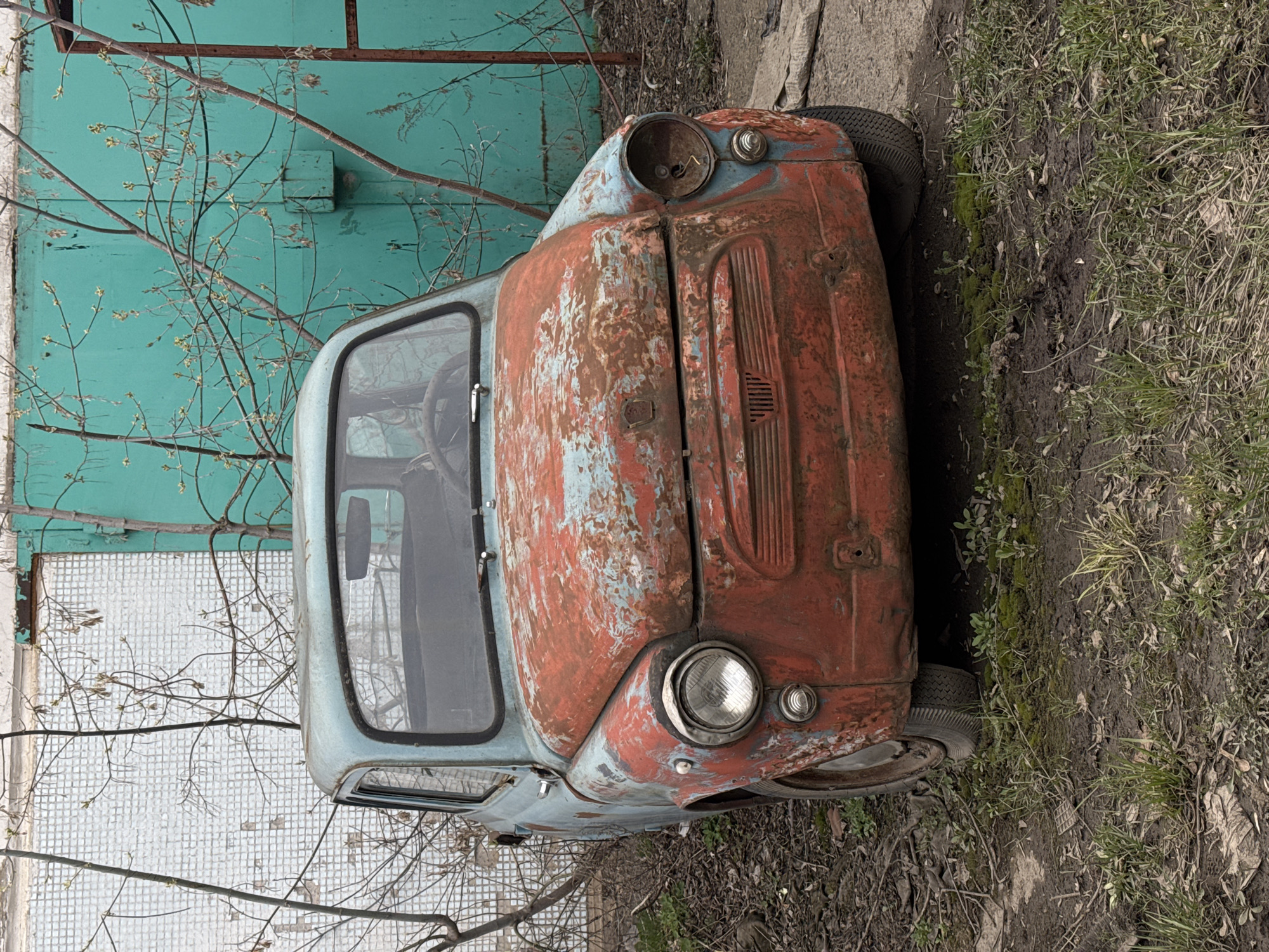 An overhead shot depicts a derelict, small, rusty car in what appears to be an outdoor, industrial or neglected setting in Chaikovsky, Russia. The car, likely an older model, is heavily corroded, with its original light blue paint peeling to reveal large patches of reddish-brown rust across its body, particularly on the hood and front fenders.
The front of the car is prominently featured, showing a distinctive grille and a single working round headlight on the right side. The left headlight socket is empty, exposing internal wiring. A small, round turn signal or parking light is also visible next to each headlight area. The windshield and the top part of the driver's side door and mirror are visible, reflecting a distorted view of the surroundings.
The vehicle is parked on a patchy ground consisting of dark soil, sparse green grass, and weeds, with some concrete or paved areas partially visible. Behind the car, to its left, is a vibrant teal-colored wall or gate, possibly made of painted metal, showing signs of wear and chipping. In the foreground and background, bare tree branches with newly forming light green buds crisscross the frame, suggesting a spring season. The lighting is soft and diffused, indicating an overcast day. There are no people visible, and the scene conveys a sense of abandonment and decay. No discernible text is visible on the car or in the background elements.