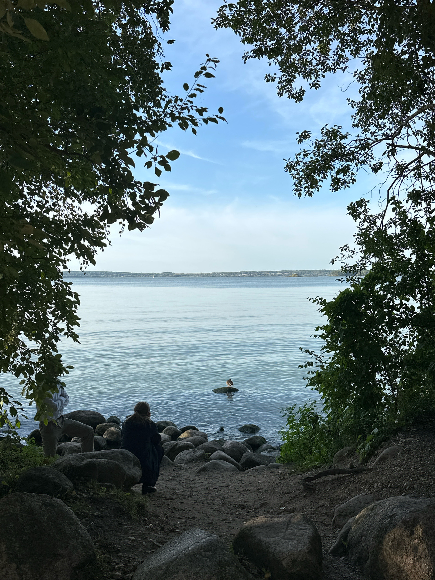 In a natural setting near the city of Zhdanovichsky Selsoviet, Belarus, a tranquil body of water stretches towards a distant, tree-lined shore. The sky above is a soft blue with wisps of clouds. In the foreground, a rocky embankment leads down to the water's edge. Two individuals are present: one person, viewed from behind, is seated on the rocks, facing the water, wearing dark clothing; another person stands to the left, partially obscured by foliage, dressed in light-colored pants and a hooded sweatshirt. Lush green trees frame the scene, their branches creating a canopy overhead. A small bird is perched on a rock in the water, adding a touch of wildlife to the peaceful landscape. The overall impression is one of quiet contemplation and immersion in nature.