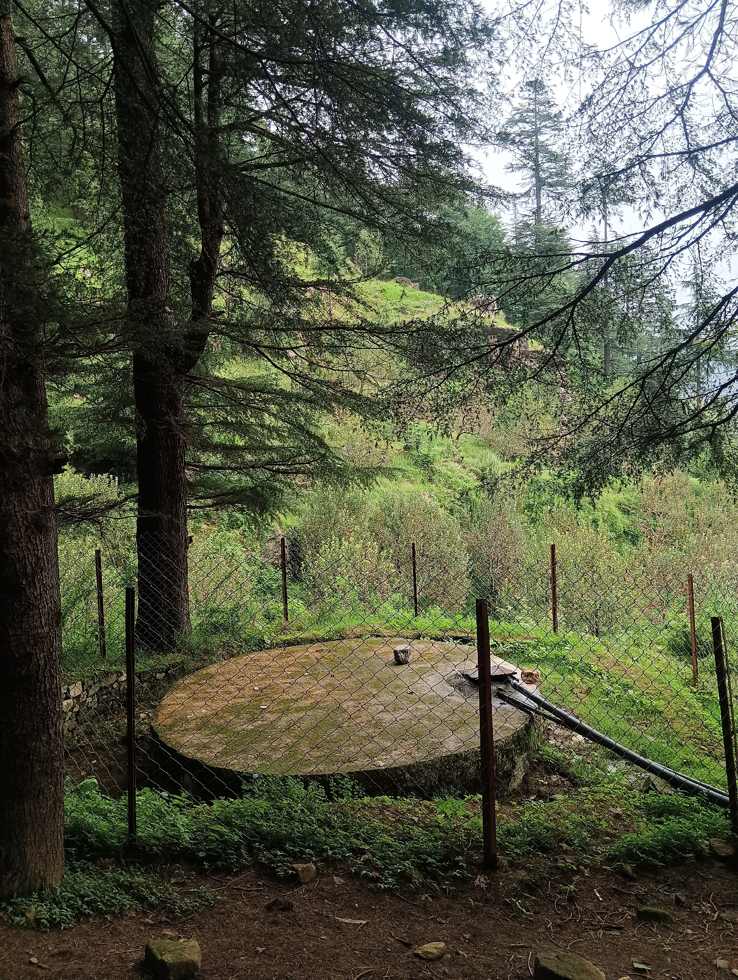 An outdoor, eye-level, medium shot captures a concrete water tank covered by a chain-link fence in a forest. The tank is circular with a slightly raised central portion and a pipe protruding from its side. A thin black pipe runs from the tank and disappears into the surrounding greenery. Several dark, vertical fence posts support the chain-link mesh that surrounds the tank. The ground in the foreground is covered with pine needles and scattered rocks. Behind the fence, lush green vegetation, including trees and bushes, blankets a sloped hillside under a cloudy sky. The scene is located in Chhyal, India.