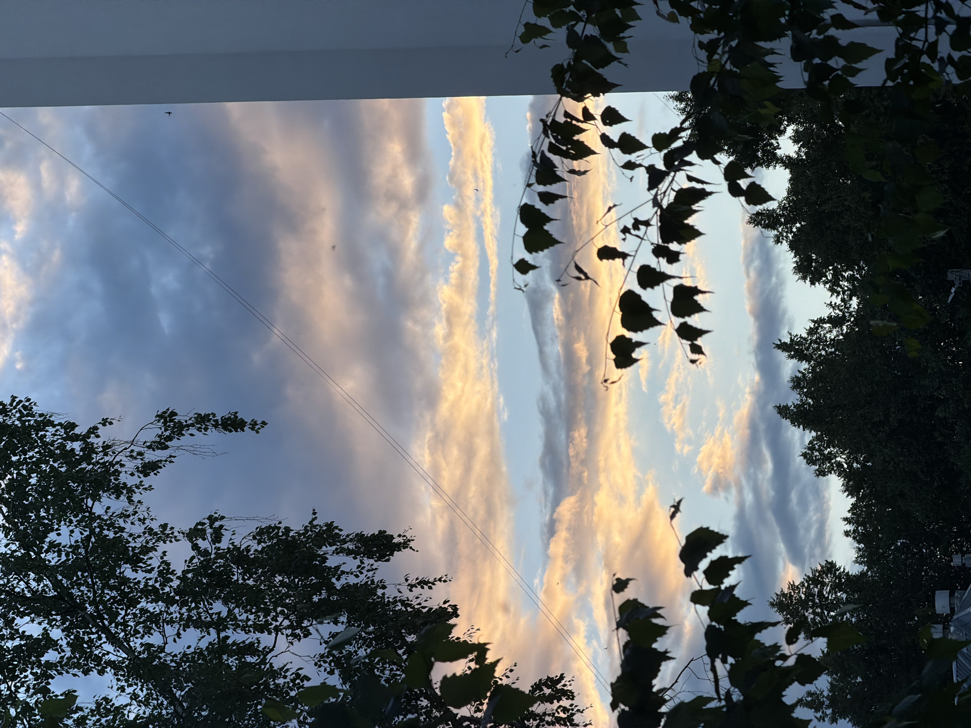 A dramatic sky with wispy clouds tinged with orange and pink from the setting sun is framed by dark green foliage in the foreground and the side of a white building on the right. Two thin electrical wires stretch diagonally across the sky. Below the sky, a dense line of dark green trees stretches across the horizon, obscuring the ground. The scene appears to be from a residential area, possibly an apartment building in Chaikovsky, Russia, given the presence of the building and the overhead wires.