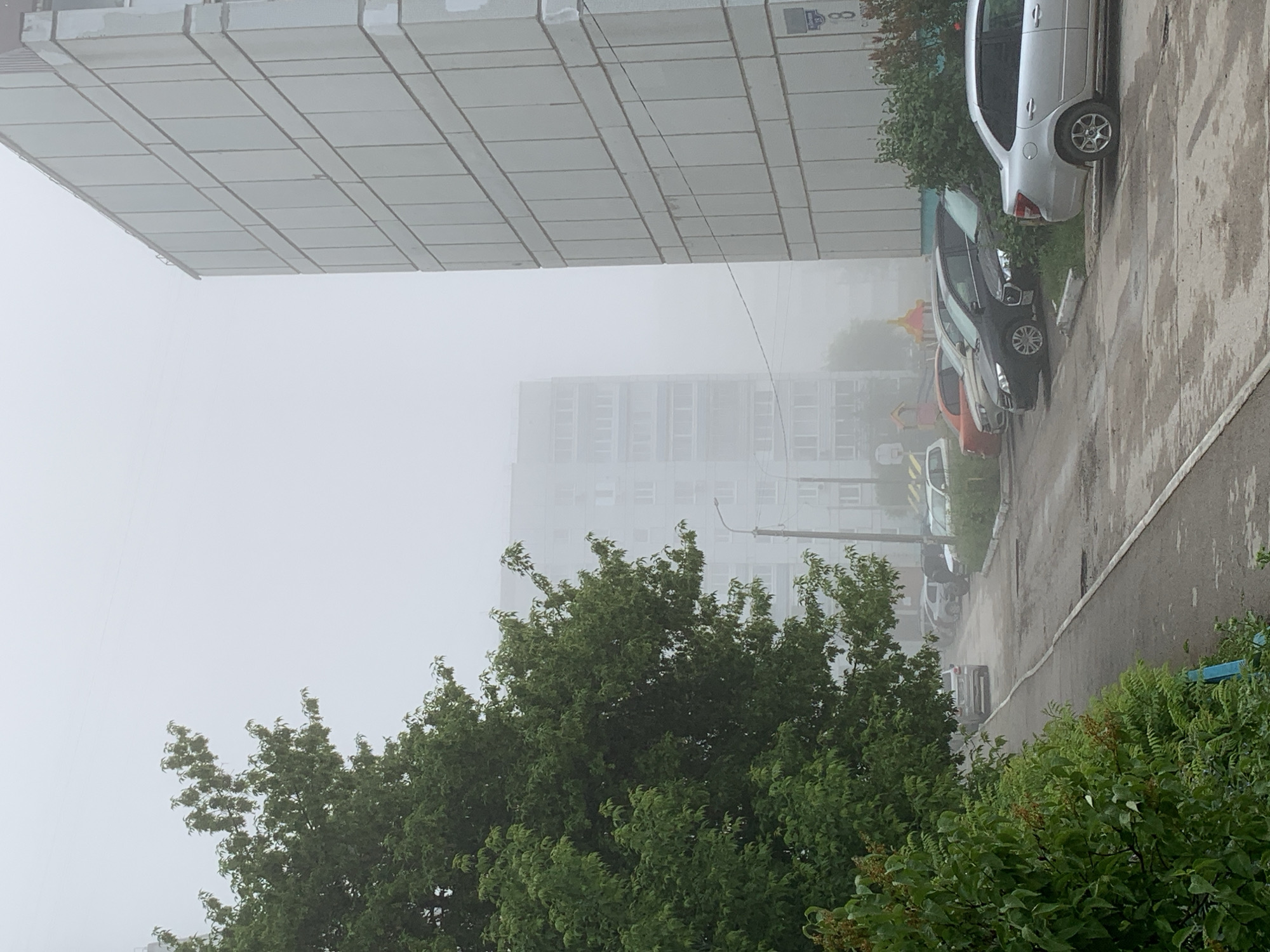 The image depicts a foggy urban street scene in Chaikovsky, Russia, taken from a slightly elevated vantage point. The photo, which is originally rotated 90 degrees counter-clockwise, shows a residential area shrouded in dense mist.
In the upper left (when correctly oriented), a large, light-colored apartment building with a grid-patterned facade of rectangular panels dominates the foreground. On its side, the dark number "8" is clearly visible, along with a small, indistinct blue sign. A thin overhead wire extends from this building into the foggy expanse.
Below and to the right, a wet asphalt road or parking area stretches into the distance. Several cars are parked along its edge. A silver sedan, likely a Lada Granta, is prominent in the mid-ground, followed by a dark-colored hatchback and an orange/red car. Other vehicles are barely discernible through the heavy fog further down the street.
Lush green trees and bushes frame the lower and right portions of the image, their leaves appearing damp and slightly blurred by the mist. In the background, other multi-story residential buildings are faintly visible, their architectural details softened and obscured by the thick atmospheric haze.
No people or specific activities are visible in the static scene. The heavy fog creates a muted and somewhat melancholic atmosphere, limiting visibility and suggesting either early morning or a day with persistent low cloud cover, possibly following rain, as indicated by the wet surfaces.