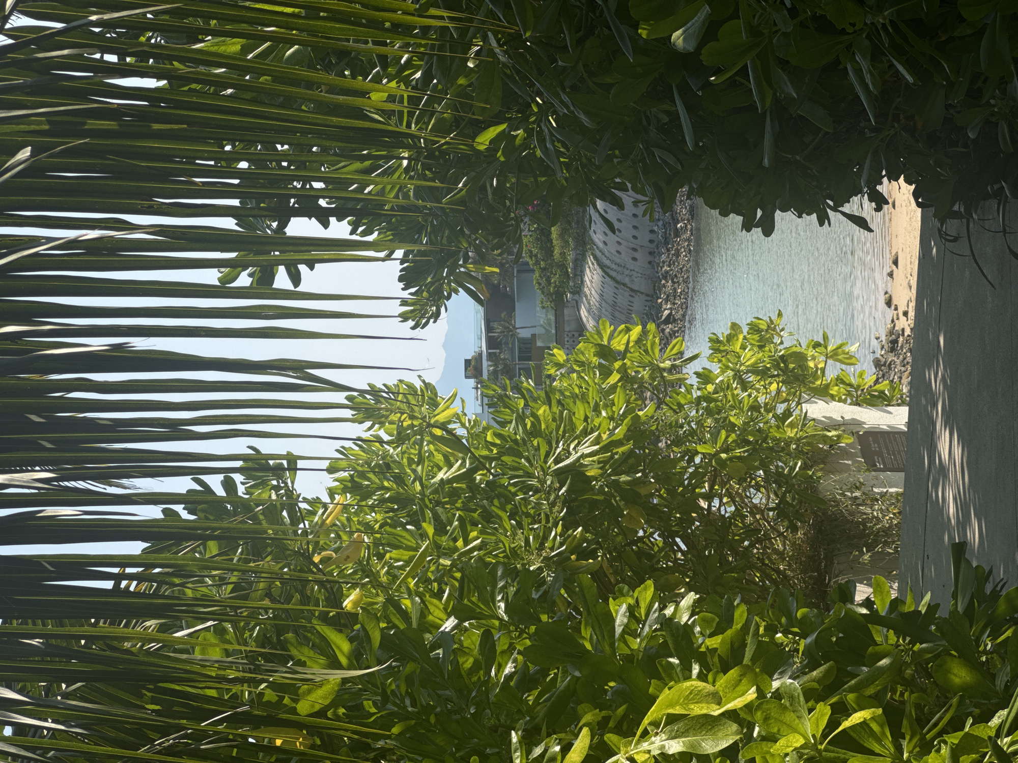 The image captures a view of a coastal area, possibly a beach or seaside resort. Dense green vegetation, including palm fronds, frames the scene, creating a sense of depth and enclosure. Through the foliage, a body of water is visible, with a concrete structure and sandy beach along the shoreline. Buildings and other structures can be seen in the distance, indicating a built-up environment. The image is taken in daylight, with a clear sky in the background. The location is in the city of Unknown, Unknown.