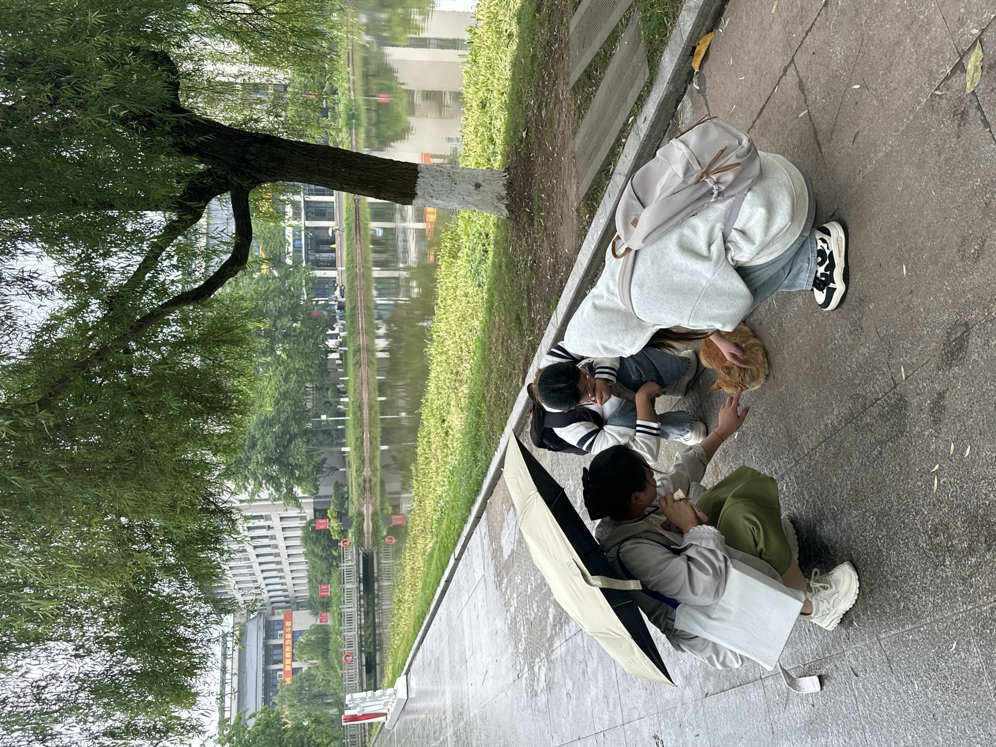 Three people are gathered on a paved walkway next to a body of water in Jiangjin, China. One person, wearing light-colored jeans and a gray sweatshirt with a gray backpack, kneels to pet an orange cat. Another person wearing a striped shirt and blue jeans also kneels near the cat. A third person, wearing green pants and a light-colored shirt, sits on the walkway and holds an umbrella. The tree with distinctive trunk markings is located near the water’s edge. Buildings are visible across the water, which reflects the surrounding environment. The ground is wet, suggesting recent or ongoing rain.