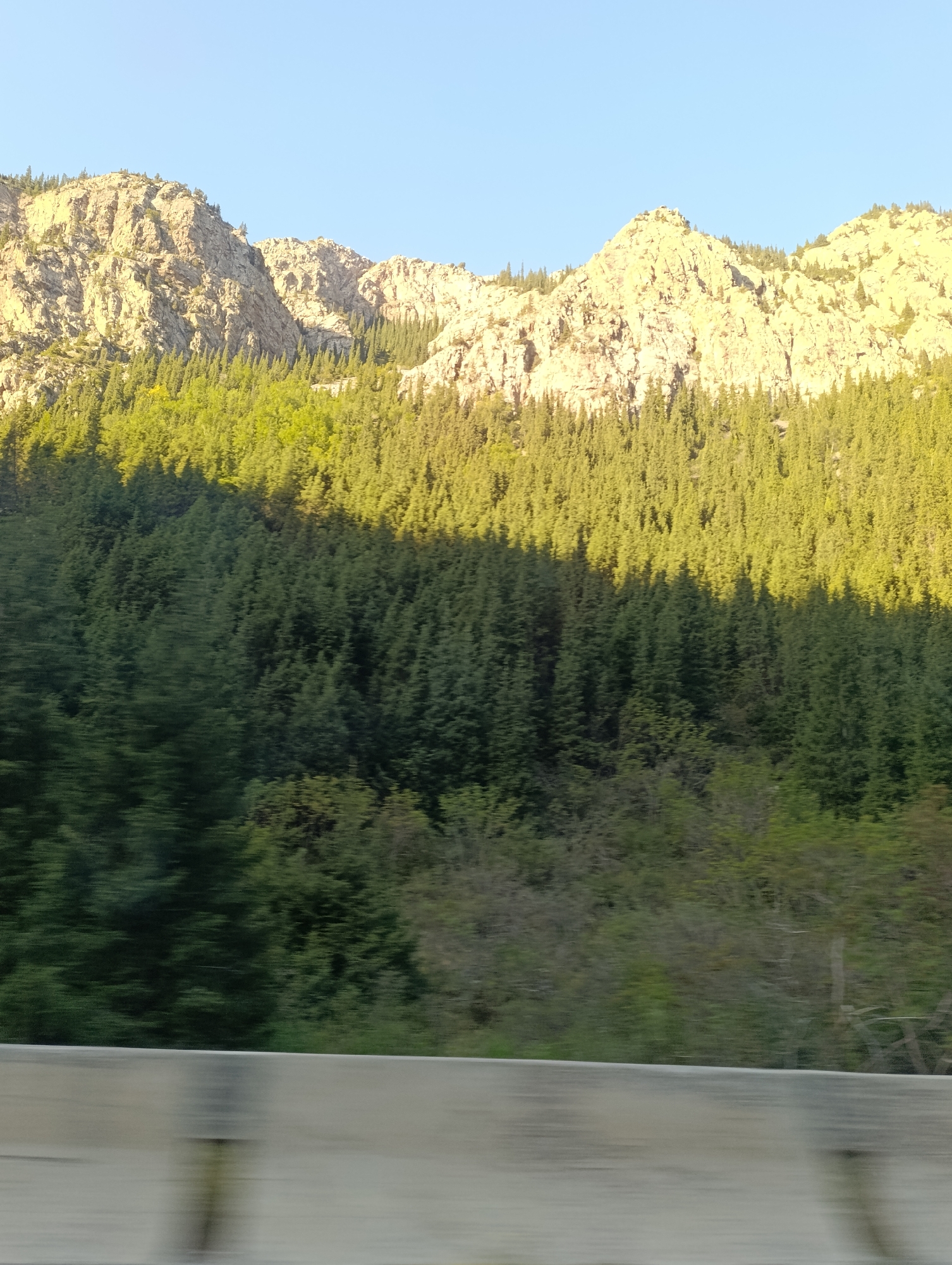 The image depicts a mountainous landscape with a clear blue sky. In the foreground, there is a blurred concrete barrier, suggesting the photo was taken from a moving vehicle. Beyond the barrier, a dense forest of evergreen trees covers the lower slopes of the mountains. The upper parts of the mountains are rocky and illuminated by sunlight, casting shadows across the trees. The location is identified as Kazan-Kuygan, Kyrgyzstan.